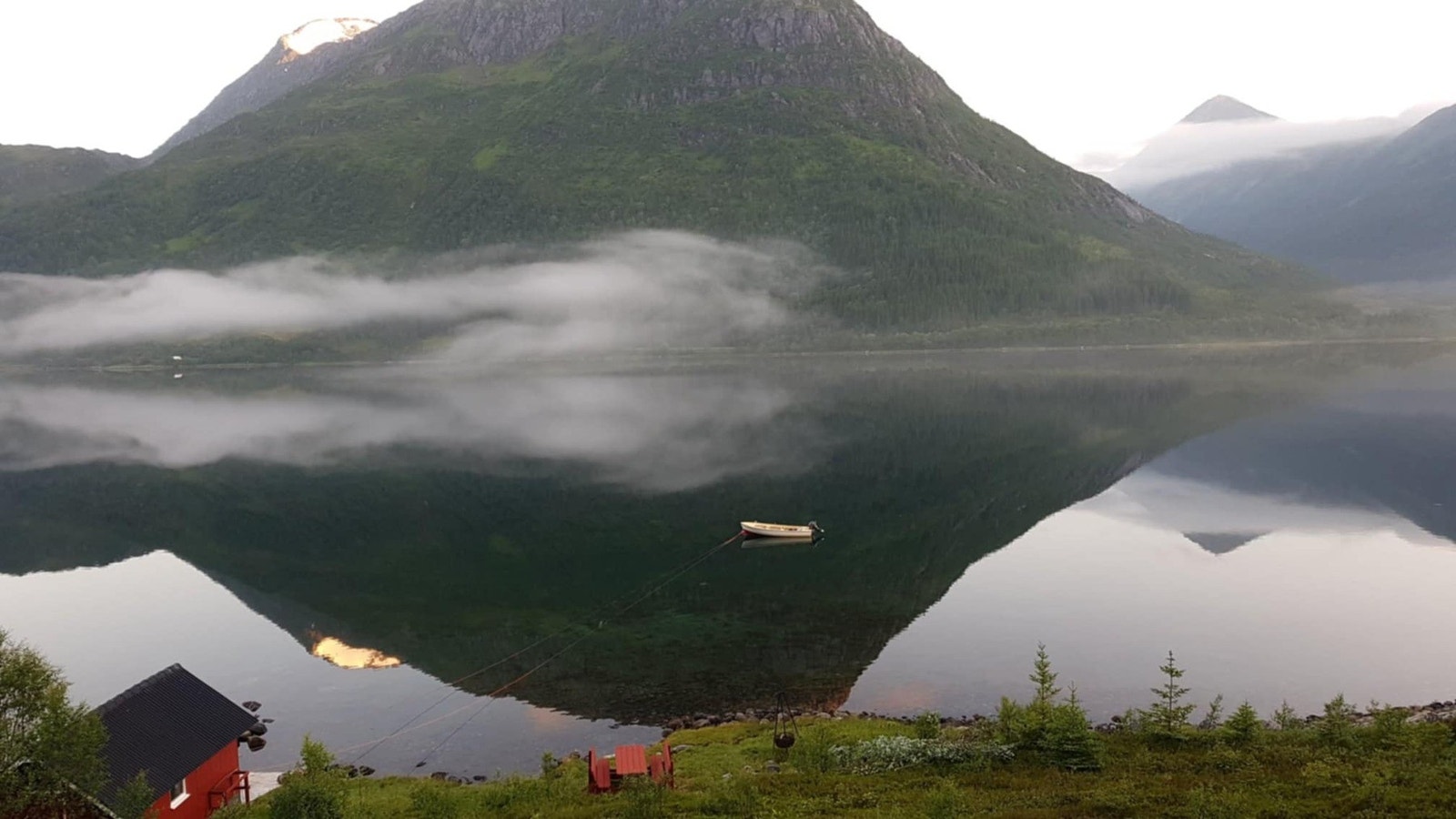 Selgers eget bilde Galleribilde