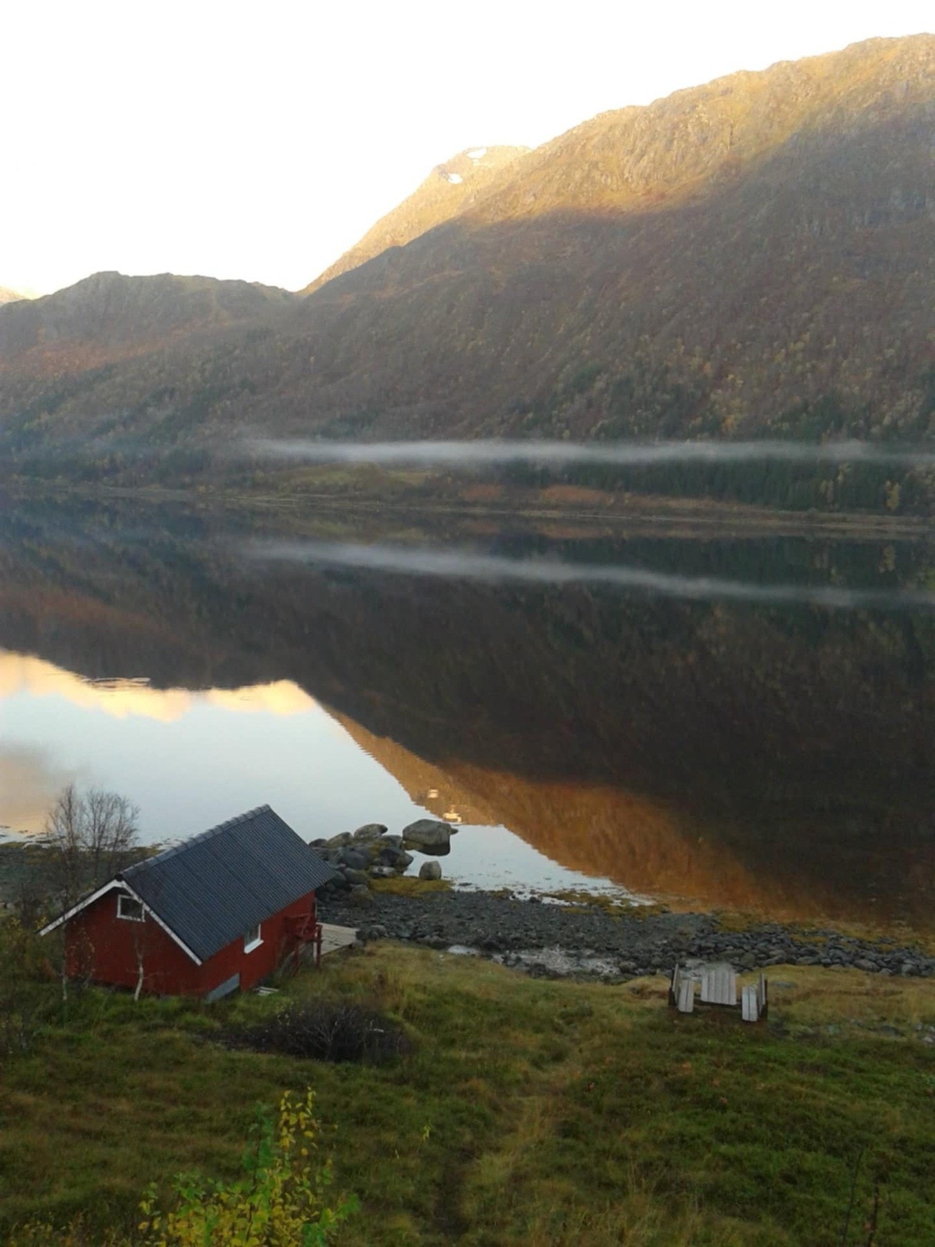 Selgers eget bilde Galleribilde