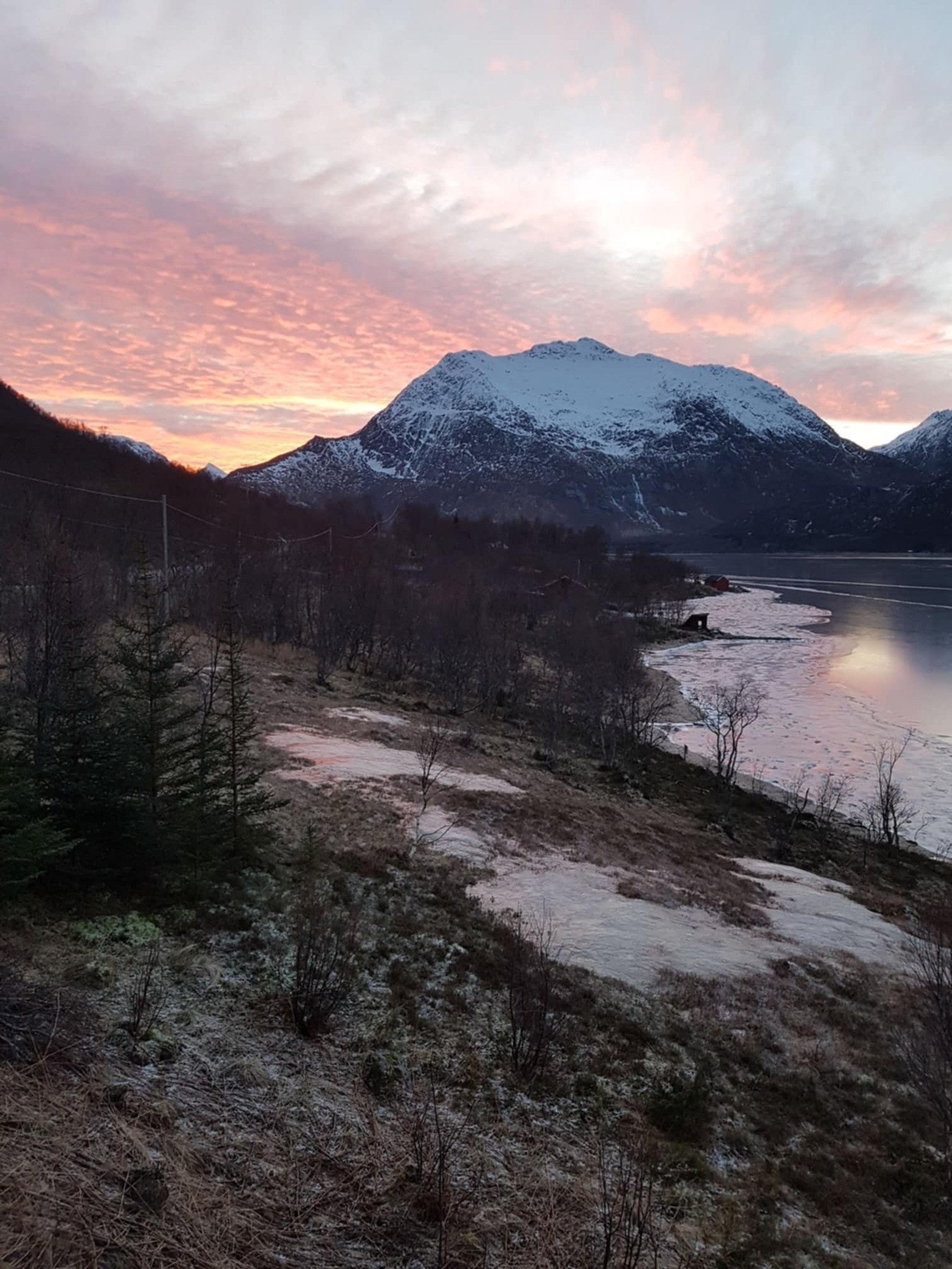 Selgers eget bilde Galleribilde