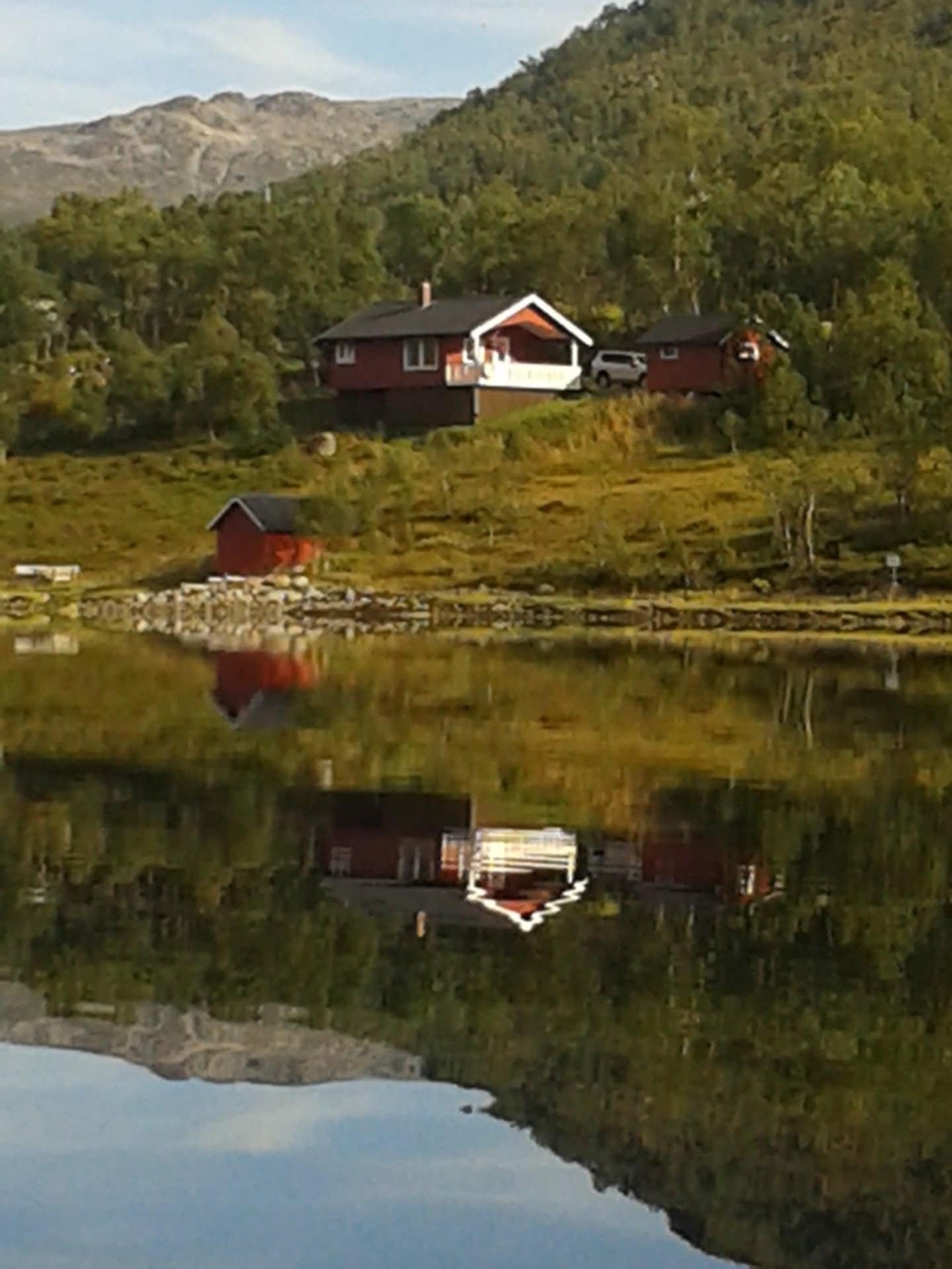 Selgers eget bilde Galleribilde