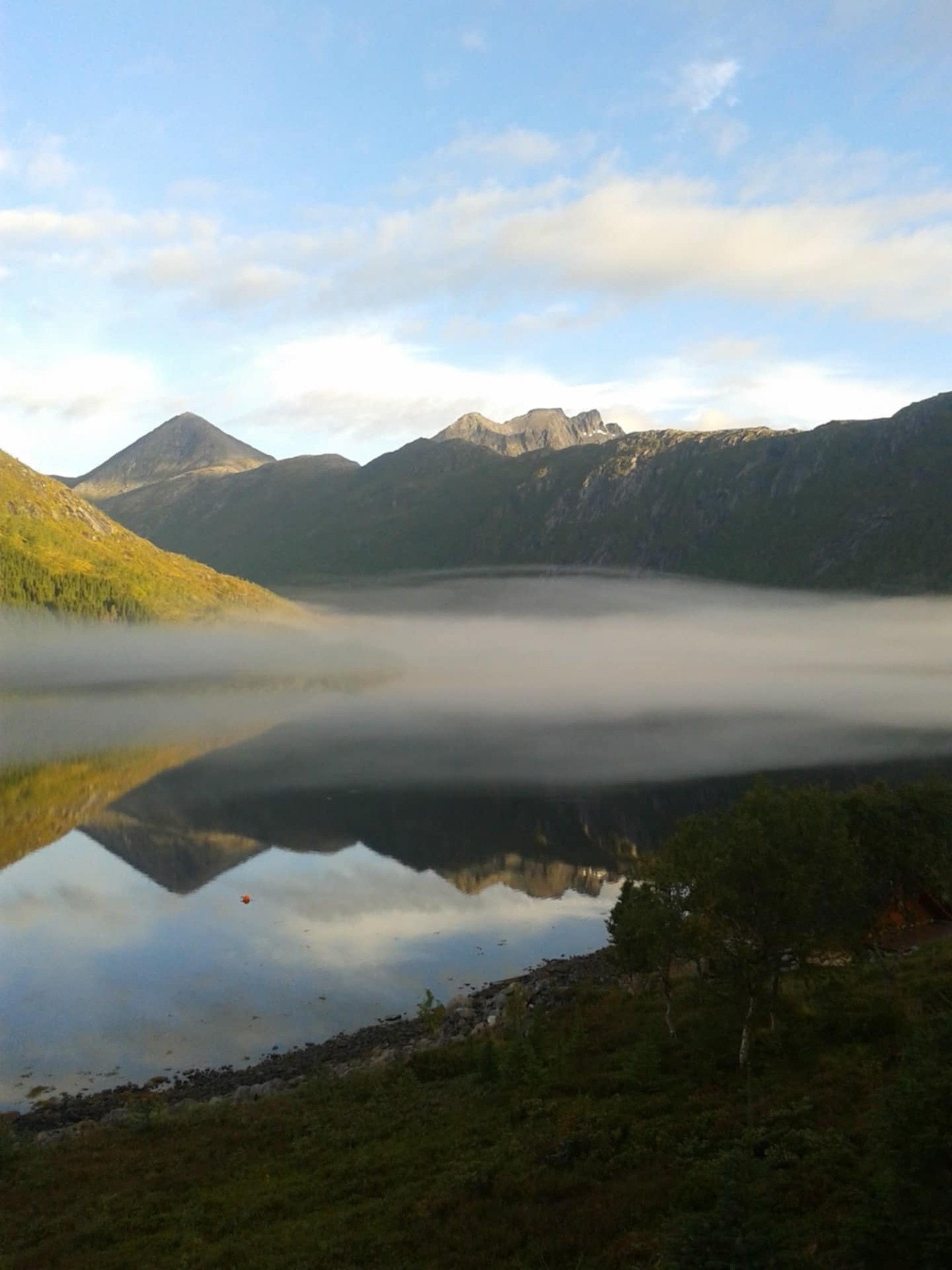 Selgers eget bilde Galleribilde