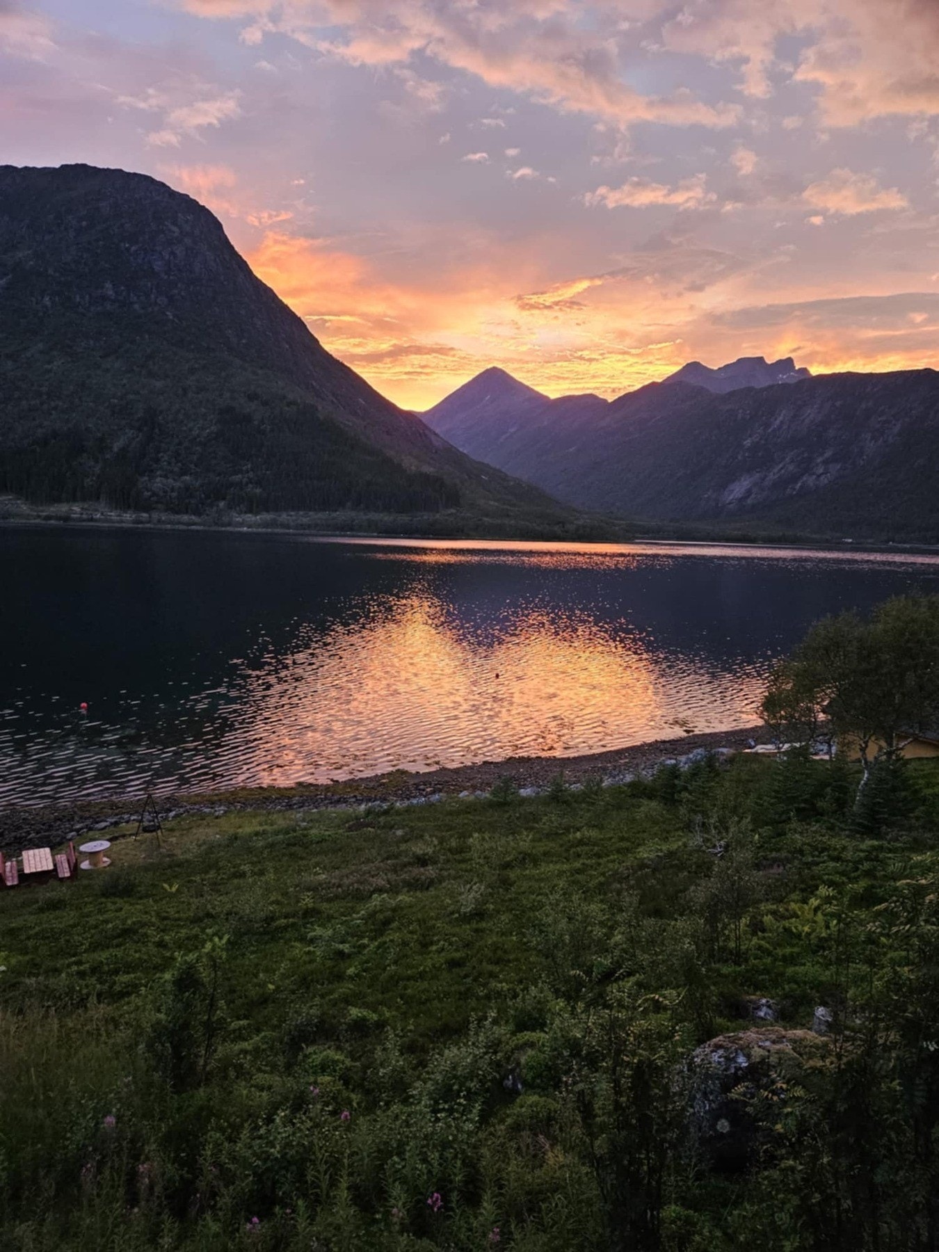 Selgers eget bilde Galleribilde