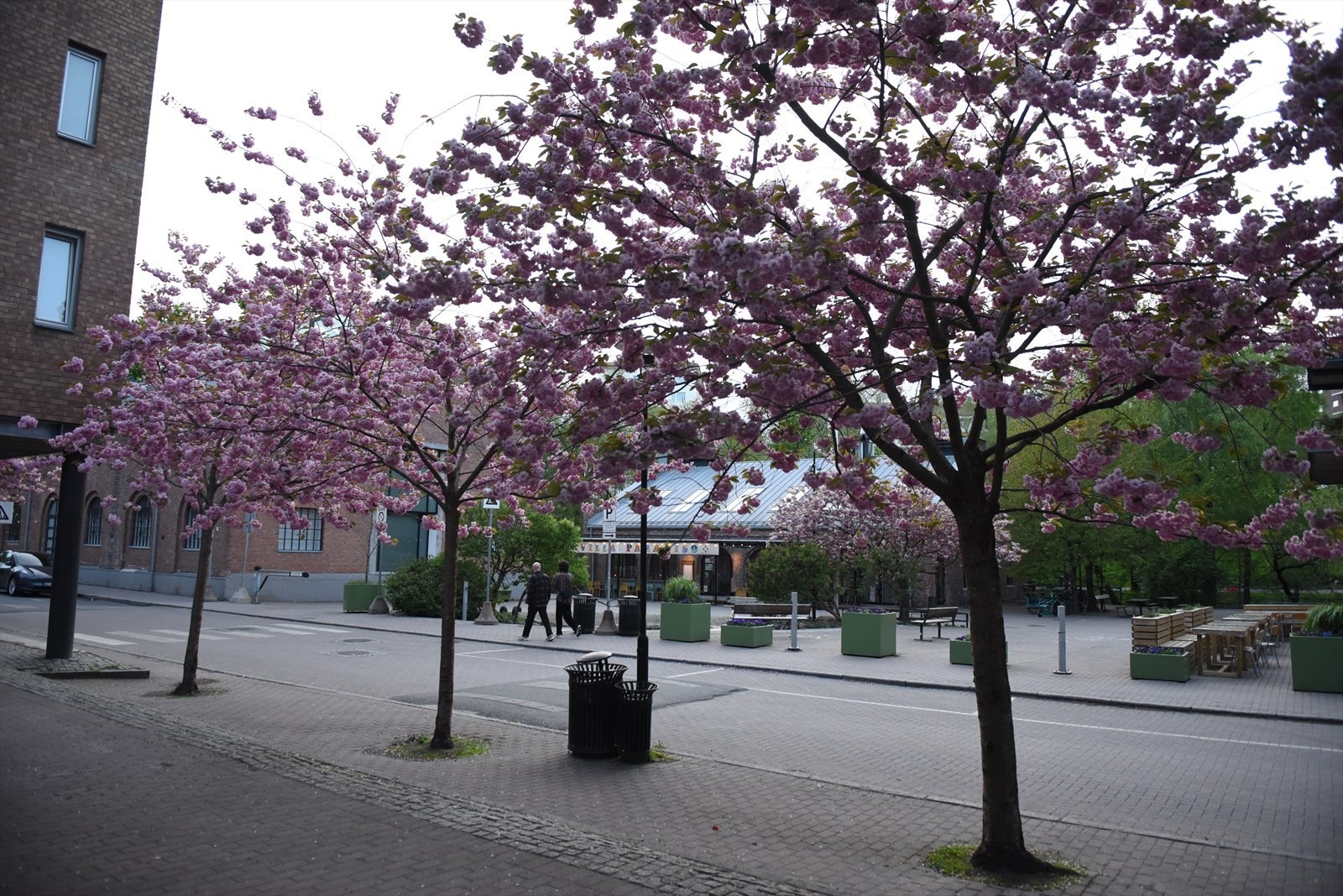 I nærområdet finner du populære møteplasser som Villa Paradiso og Det Andre Teateret, og hver første lørdag i måneden er det markedsdag på Lilleborg Torg - en hyggelig lokal happening med god stemning. Galleribilde