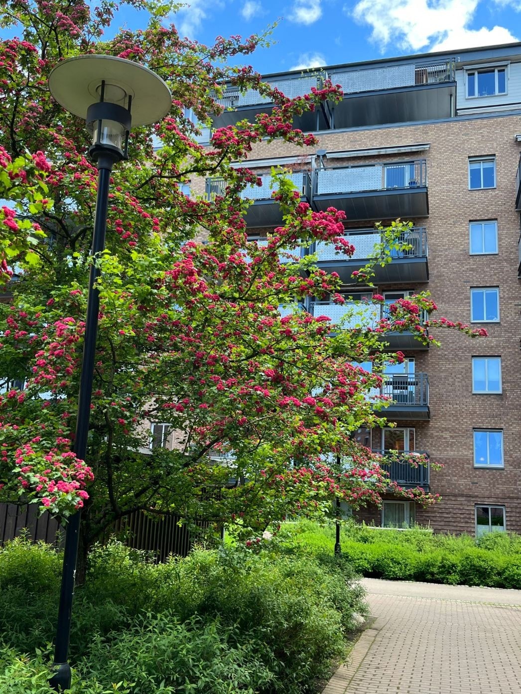 Området fremstår som en skjermet oase midt i det urbane landskapet, perfekt for deg som ønsker både ro og nærhet til alt Oslo har å by på. Galleribilde