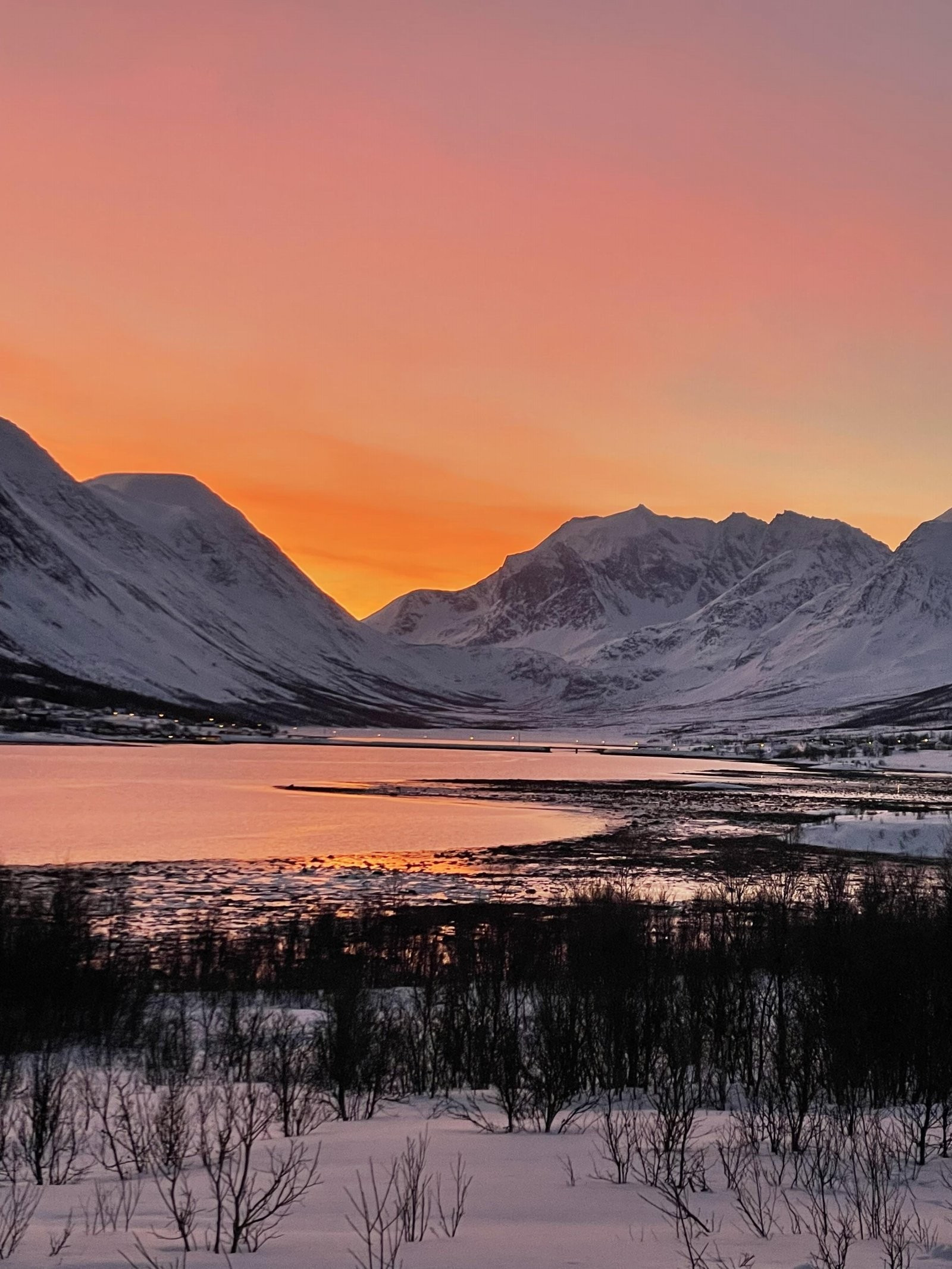 Lyngen har majestestisk landskap med breer og stupbratte fjellsider, som gjør Lyngen og Lyngsalpan til et populært turområde med varierte naturopplevelser. Selgers private foto