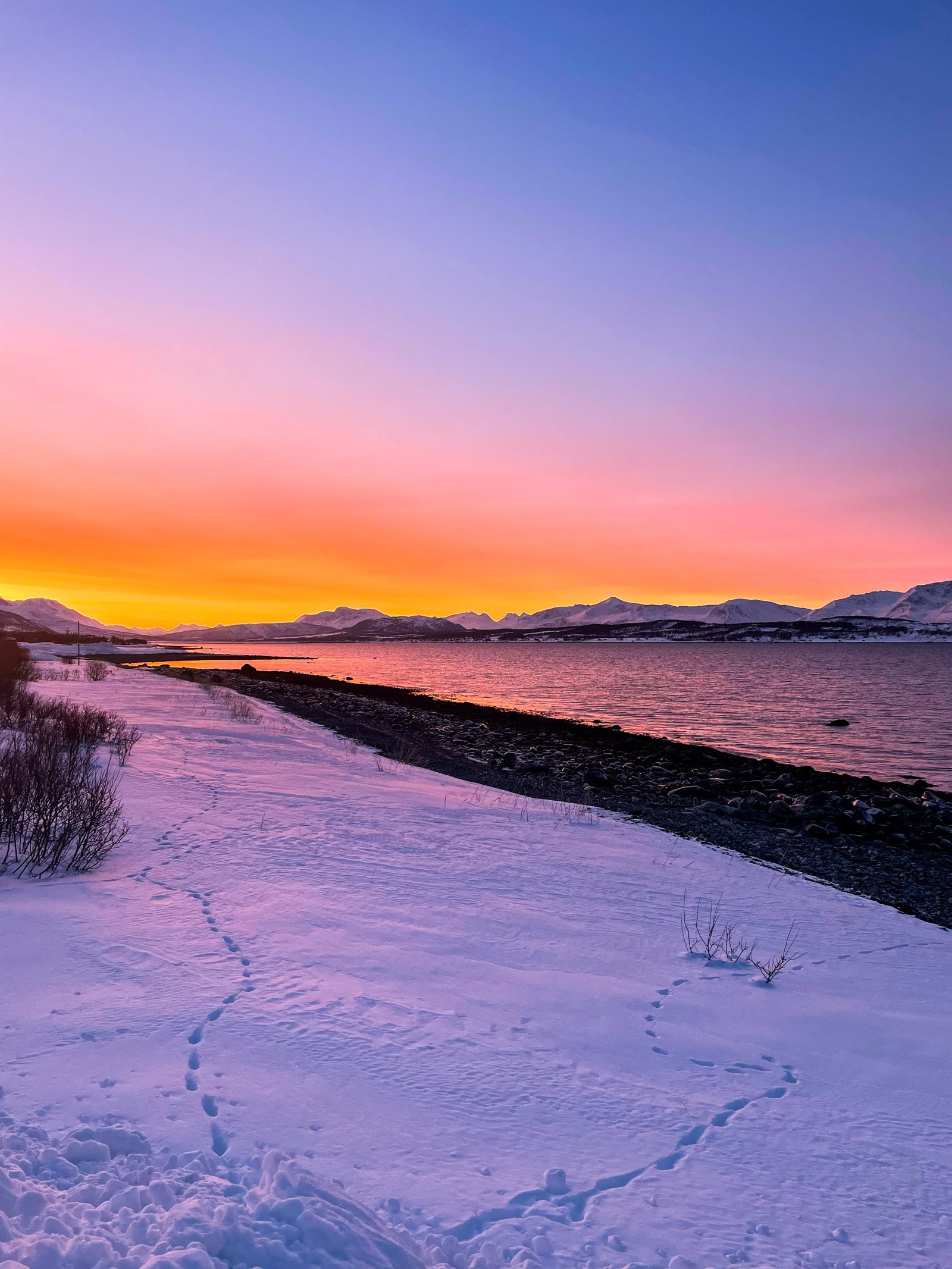 Eiendommen ligger ved Lyngenfjorden, så det er kort vei til sjø, fjære og gode fiskemuligheter i havet. Selgers private foto