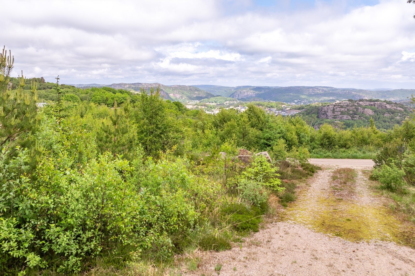 DJI_0303.jpg Galleribilde