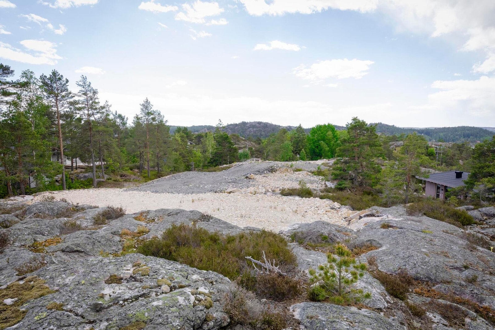 Foto fra tomteområdet Galleribilde
