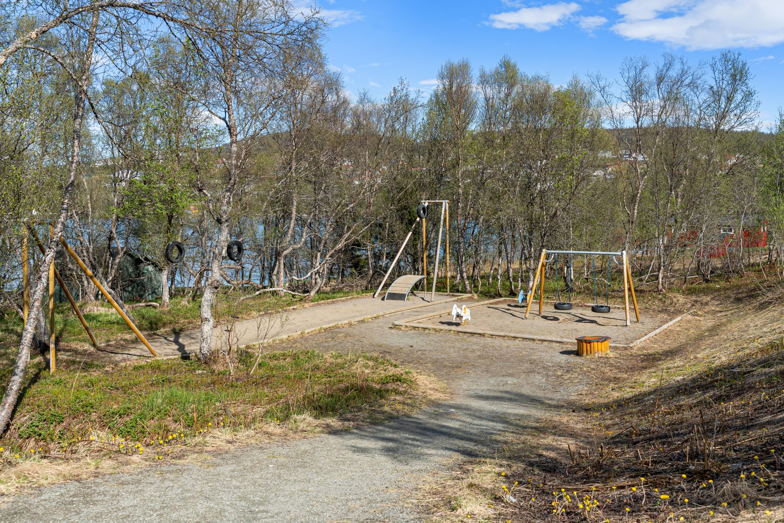 DSC05674