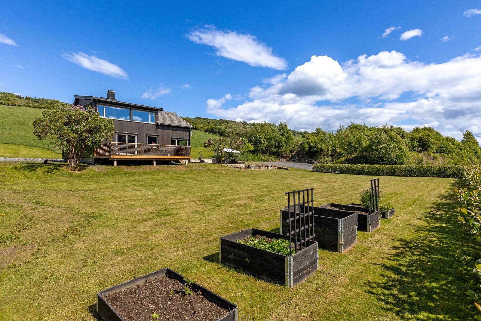 Stor, tilnærmet flat hage Galleribilde