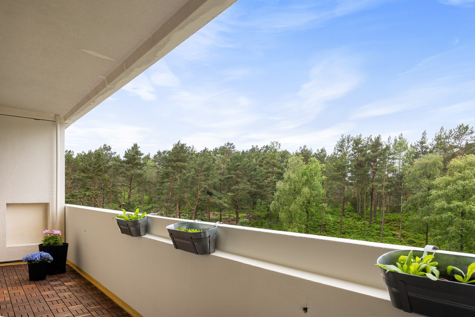 Dette er en lys og romslig leilighet i et veletablert nabolag med en sentral og attraktiv beliggenhet i et populært område i Fyllingsdalen. Galleribilde