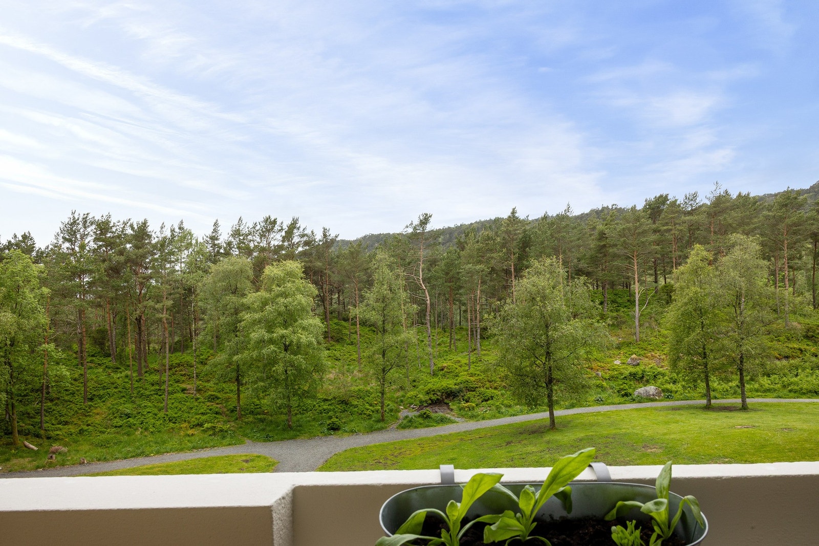Et naturlig samlingspunkt på varme sommerkvelder. Galleribilde