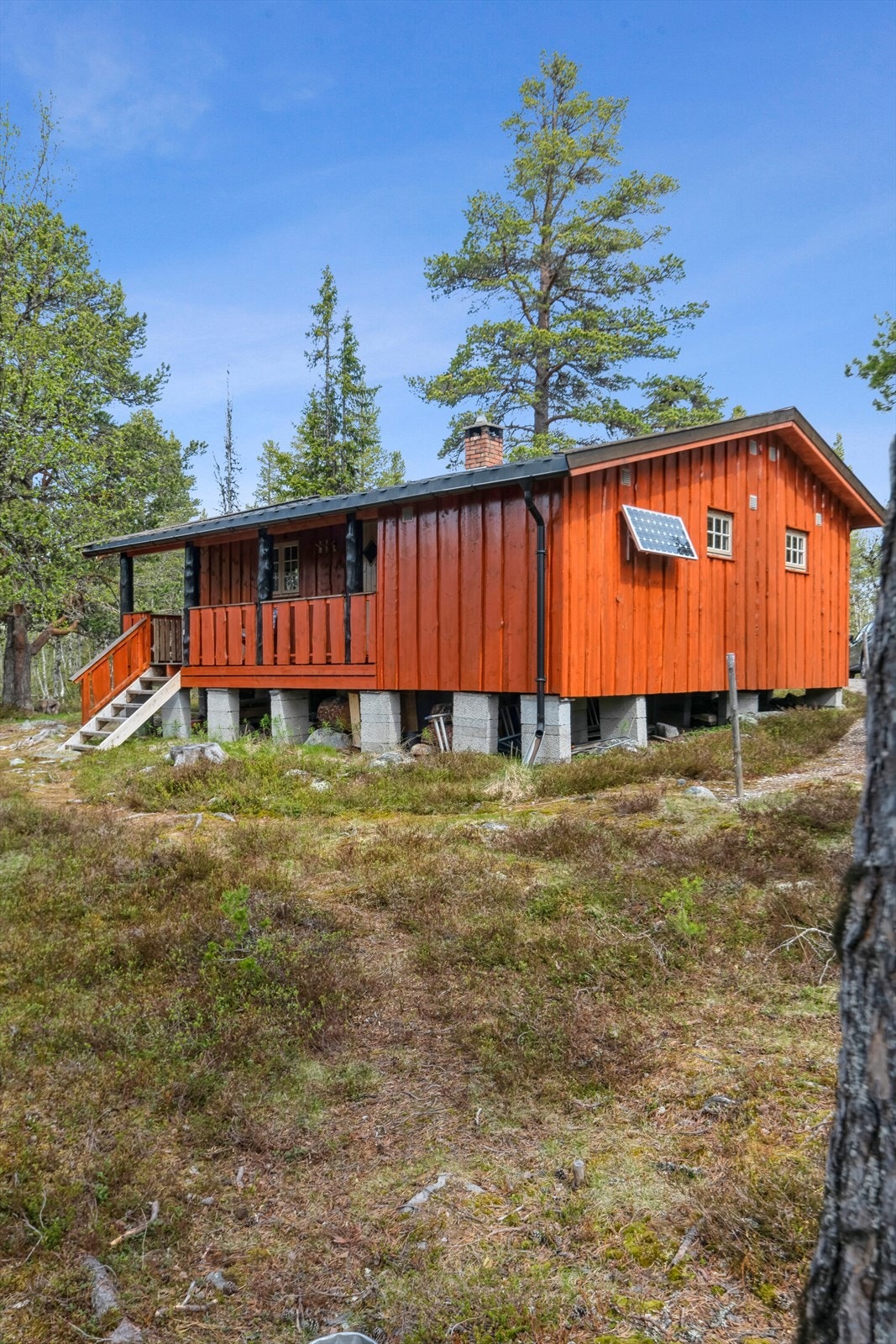 Hytta har klassisk villmarkspanel, solid fundamentering og solcellepanel Galleribilde