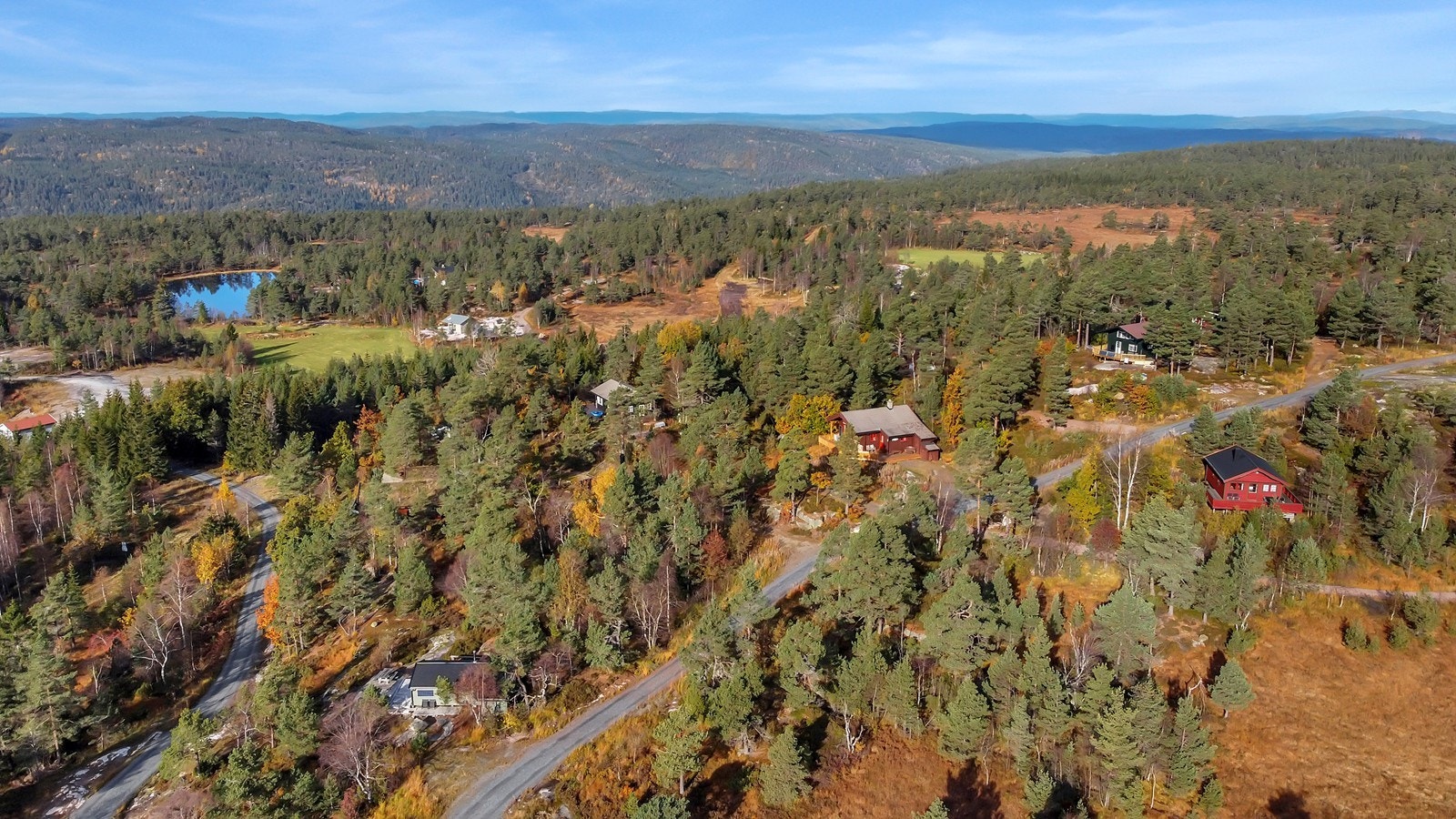 Nærområdet. Galleribilde