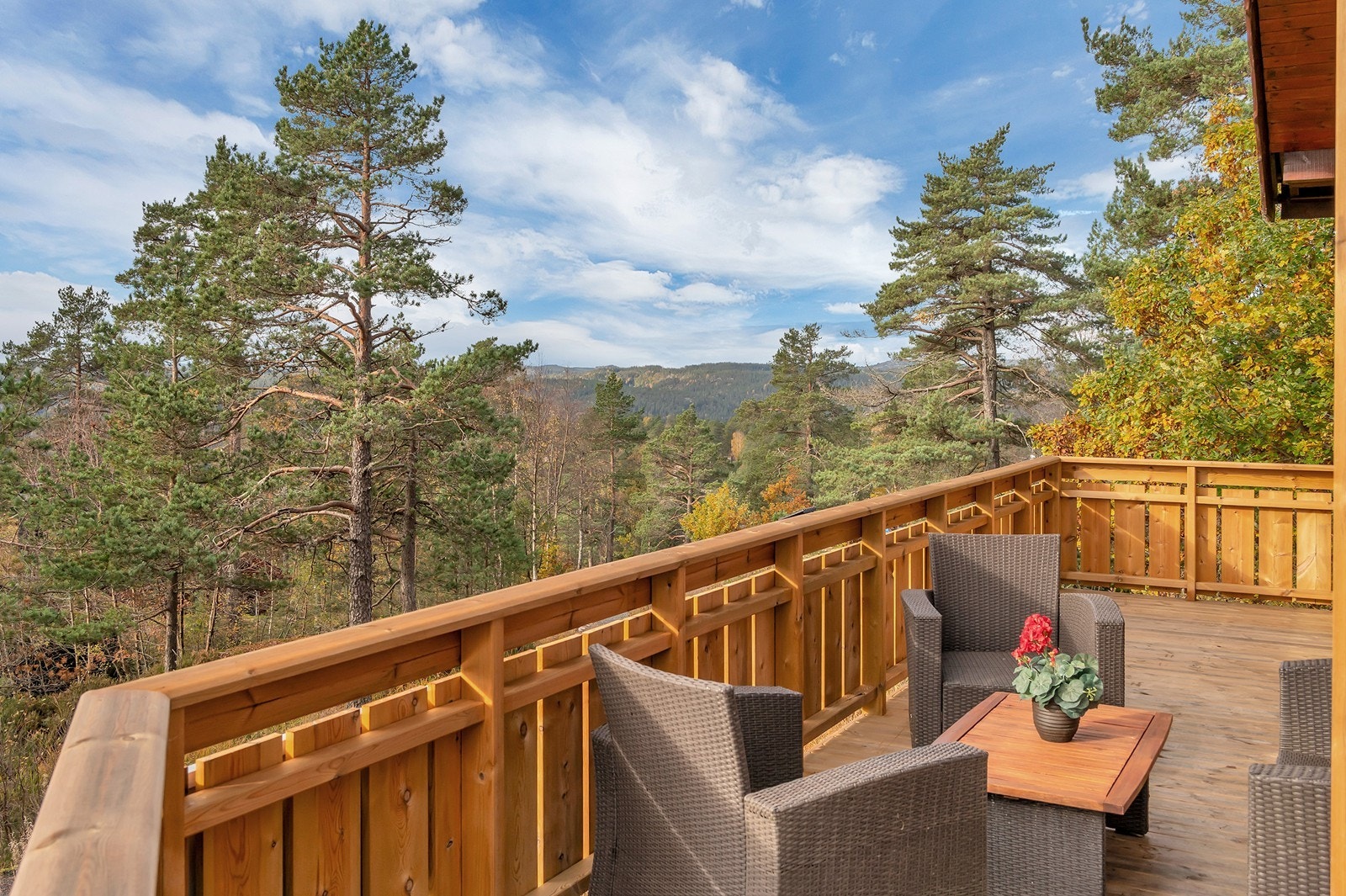 Fra verandaen er det fin utsikt over naturskjønne omgivelser. Galleribilde