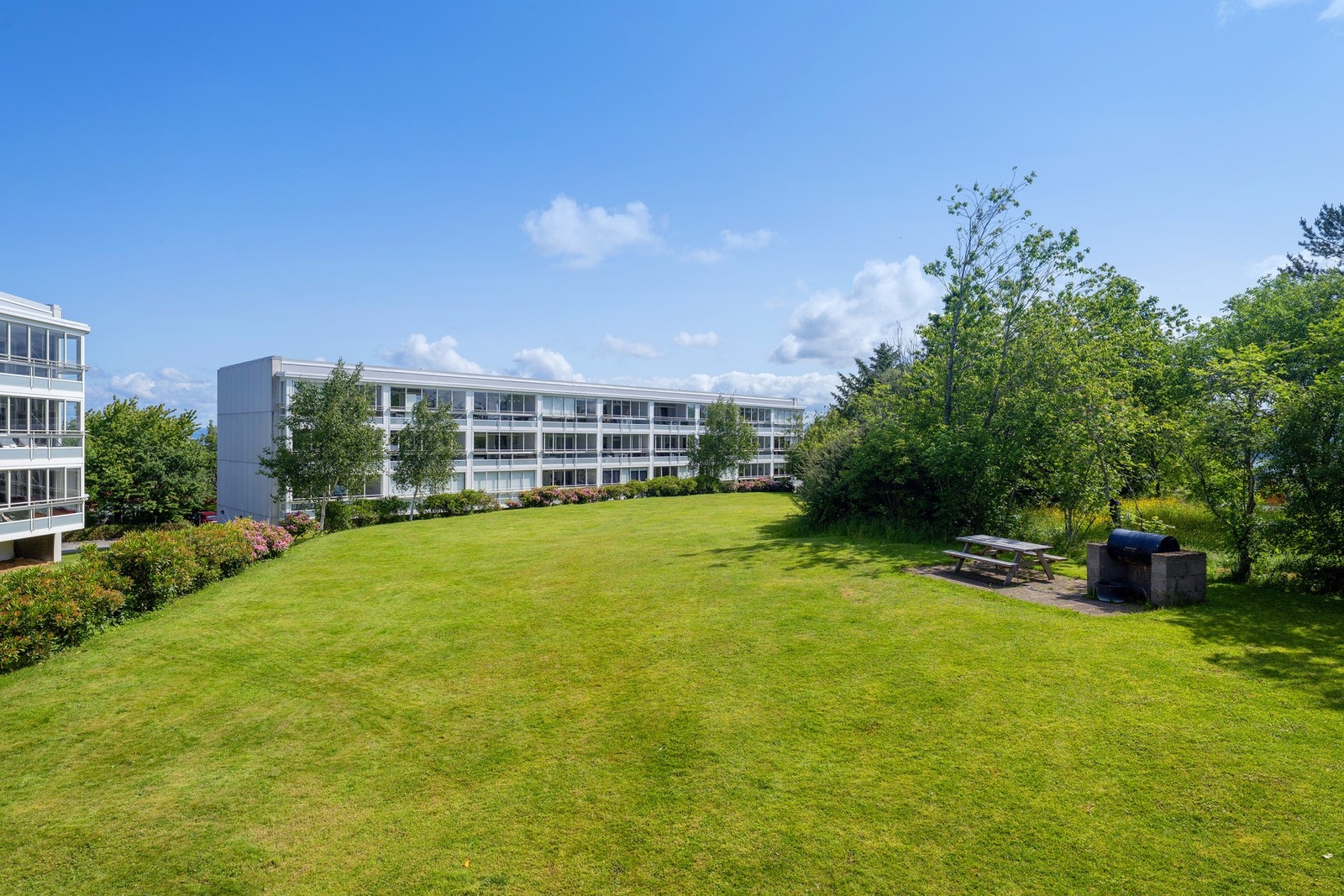 Det er felles grillplassområde til varme sommerdager Galleribilde