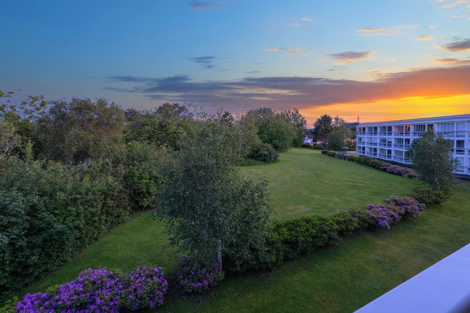 Pent, grønt friområde Galleribilde