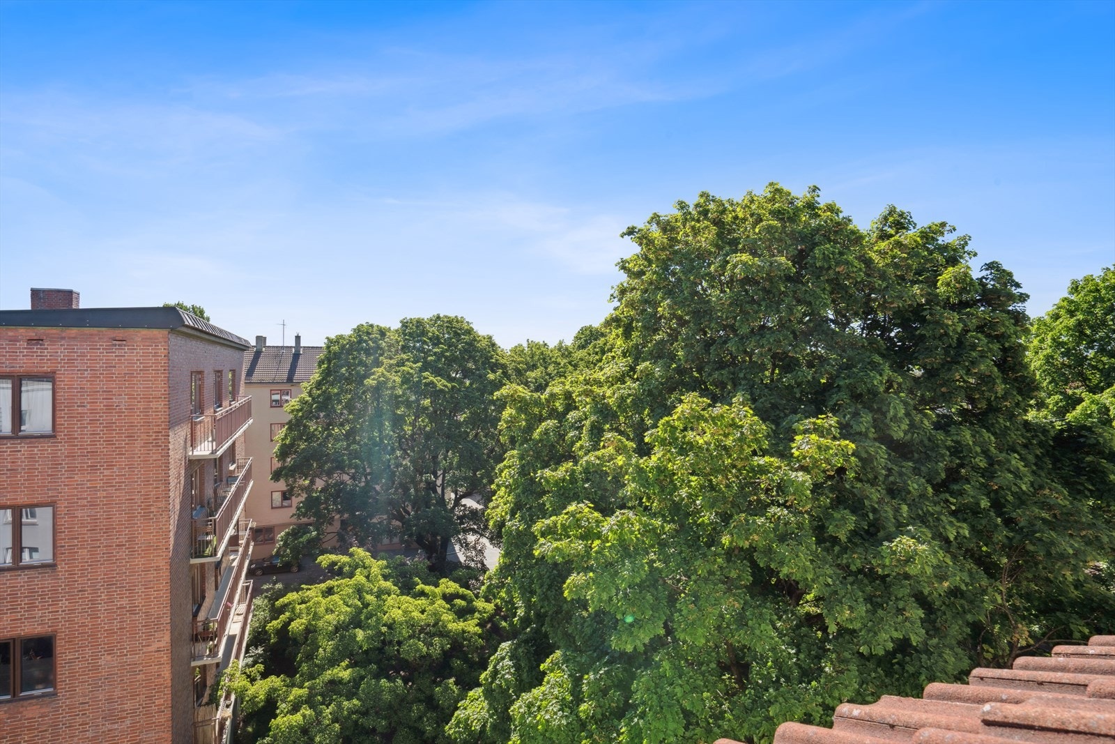 Takterrassen vender ut mot et rolig grøntareal, med beplanting som skjermer for det meste av innsyn. Galleribilde