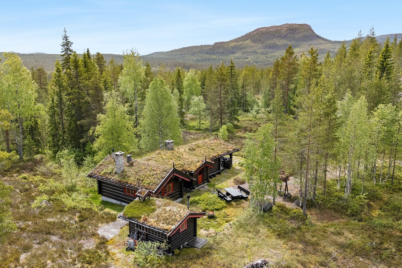 Solrikt og familievennlig område i flotte og naturskjønne omgivelser, med gode turmuligheter sommer og vinter. Galleribilde