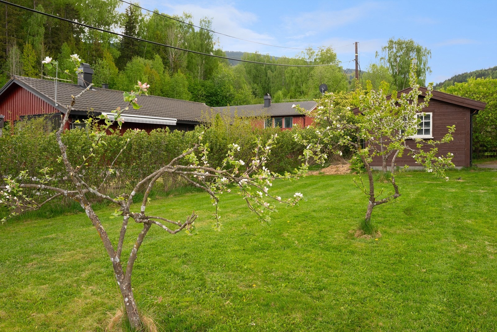Hagen har godt m/boltreplass for både to- og firbeinte. Galleribilde