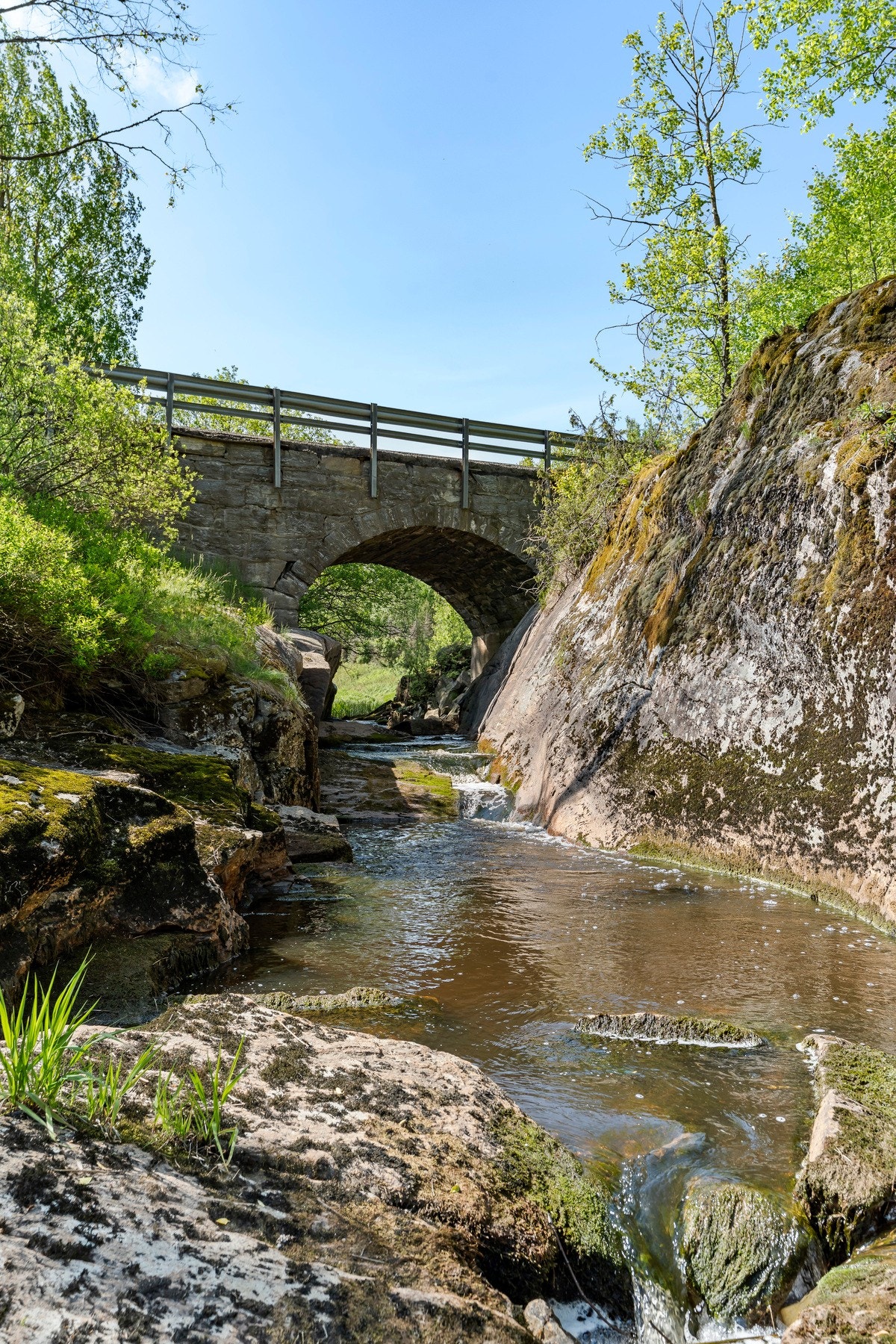 Her kan du nyte naturen året rundt med vakre turstier, flotte skogsområder og naturopplevelser rett utenfor døren. Galleribilde