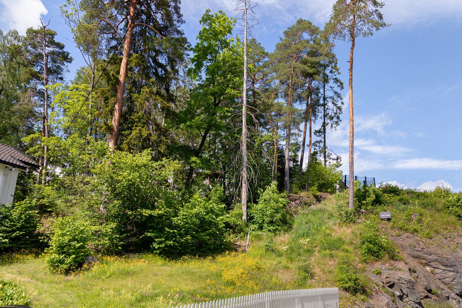 Trollnes 10 ligger på et solrikt høydedrag med fin utsikt Galleribilde