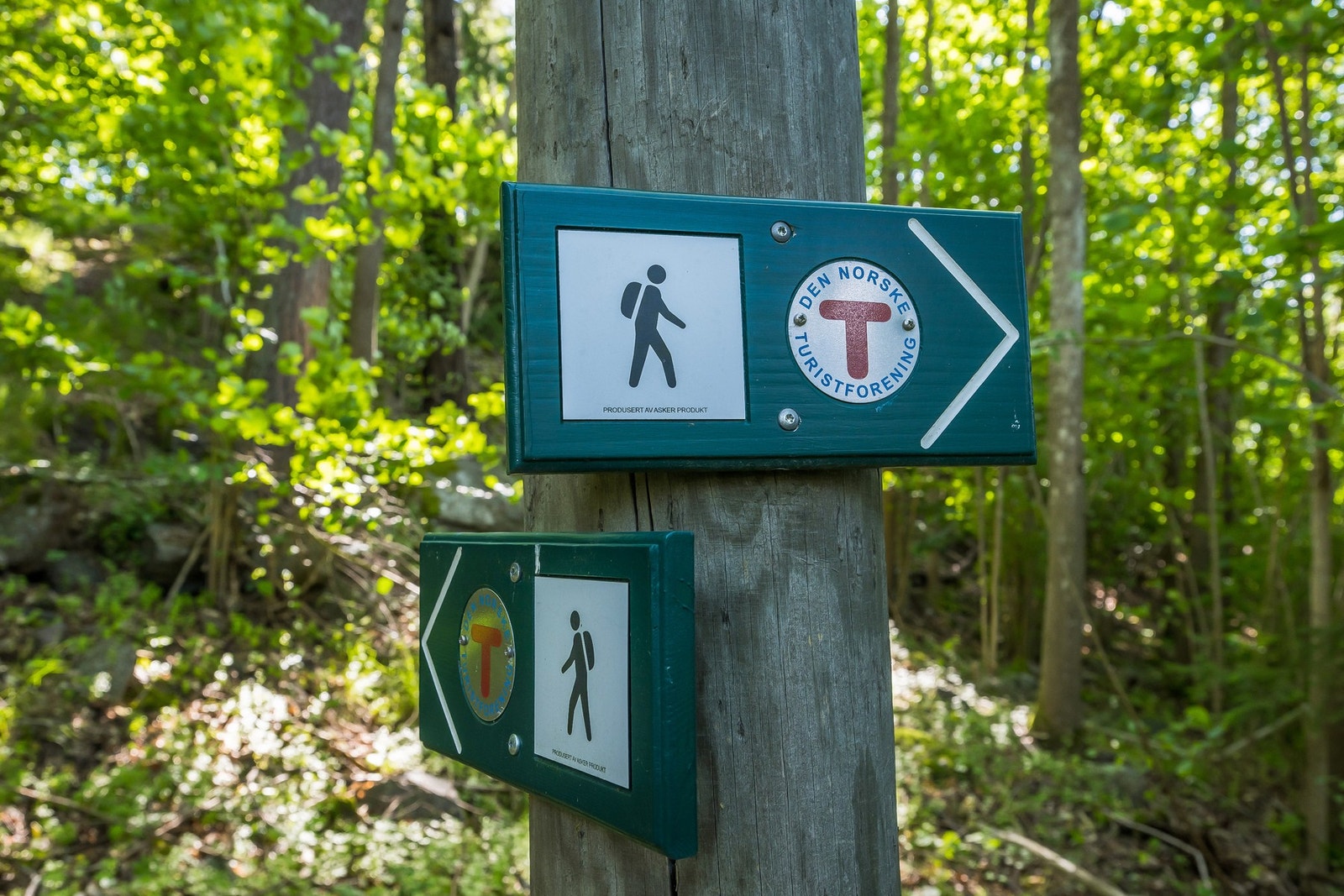 Rett utenfor hytteveggen er det flotte turløyper Galleribilde