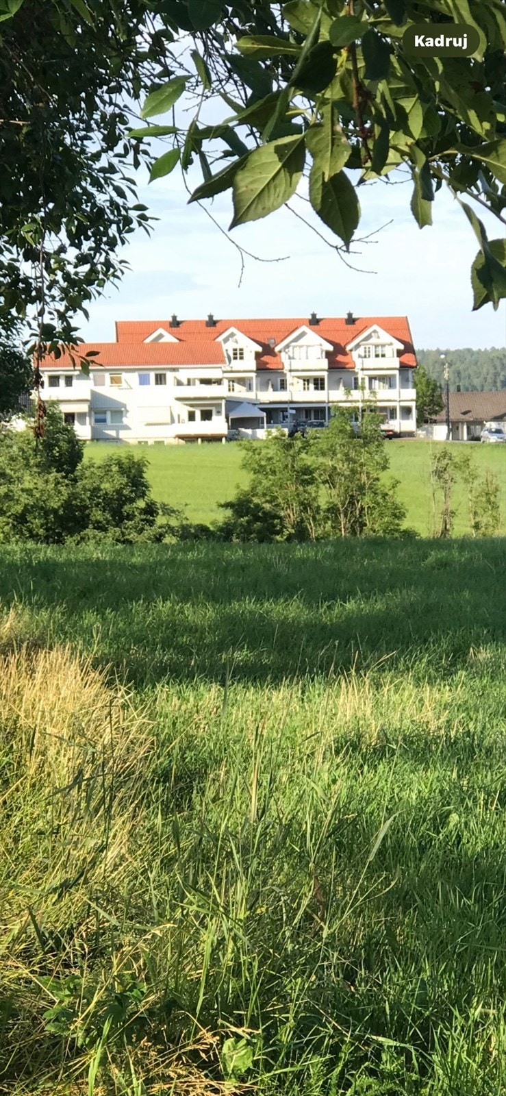 selgers bilde Galleribilde