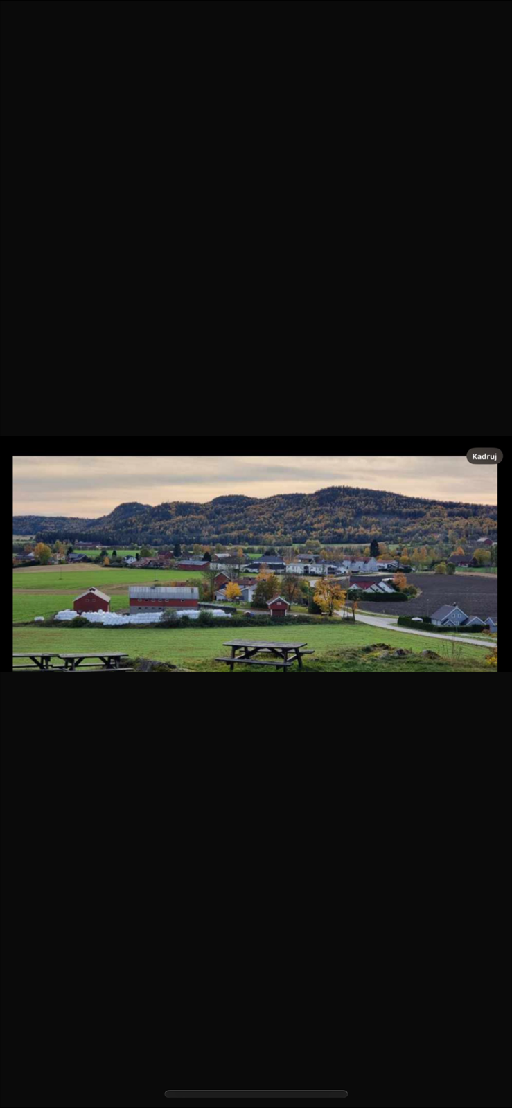 selgers bilde Galleribilde