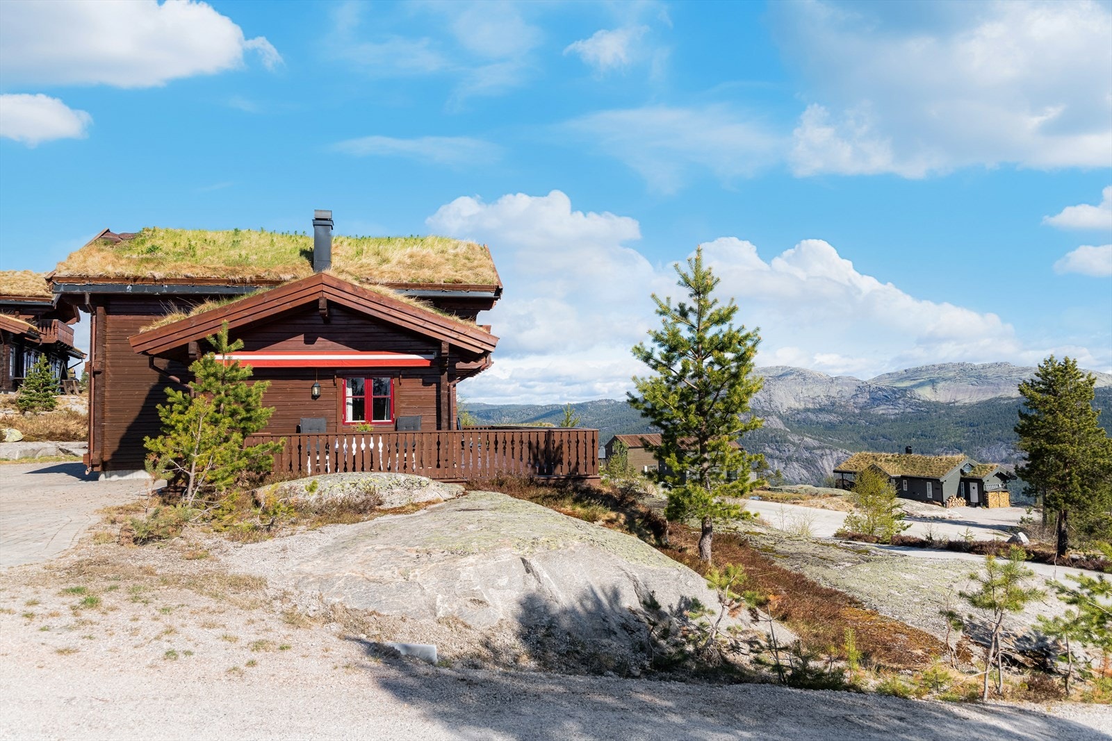 Ellers er det koselig naturtomt med naturlig vegetasjon som trær, lyng og fjell i dagen. Galleribilde