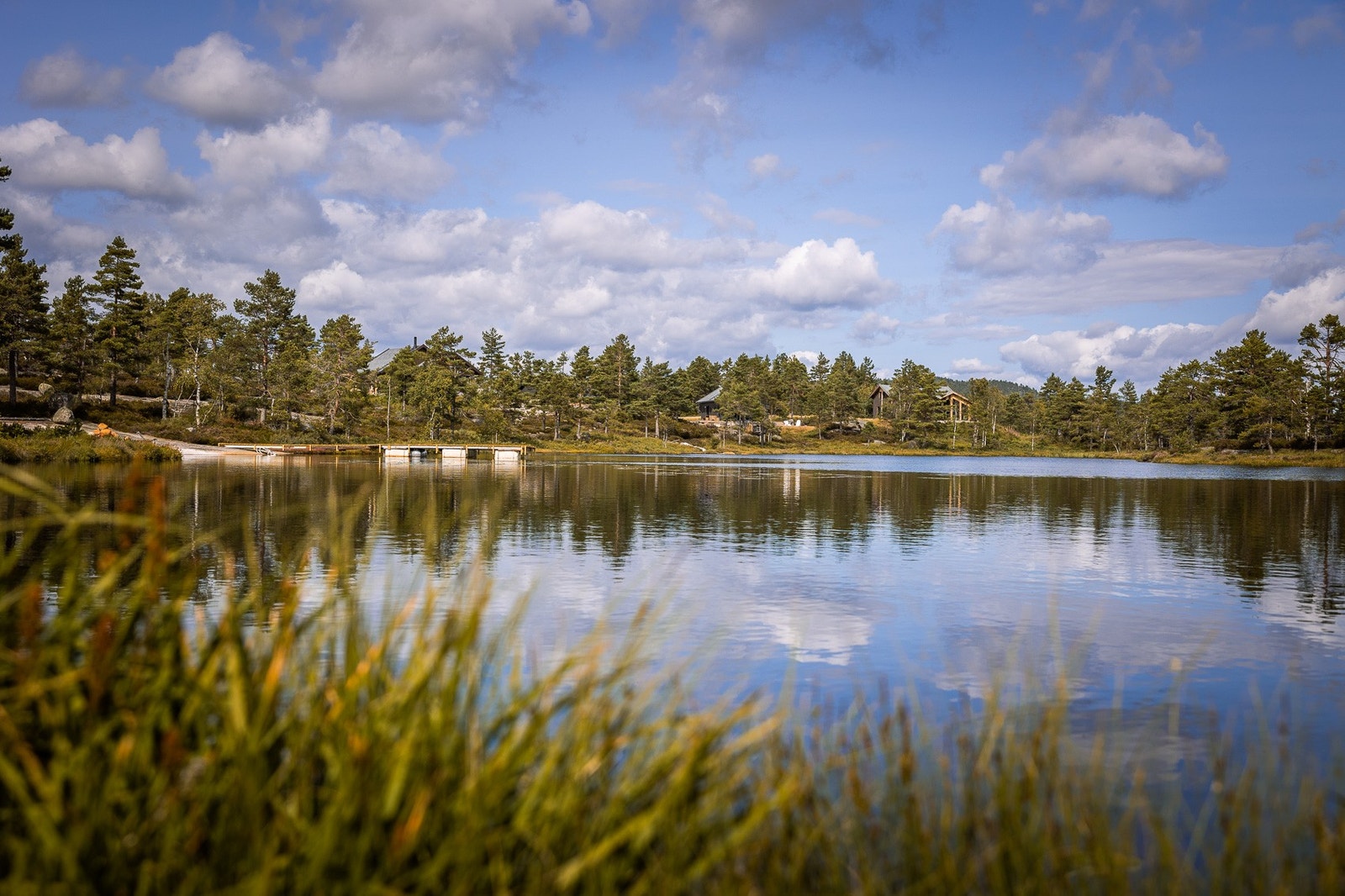 Fantastisk natur Galleribilde