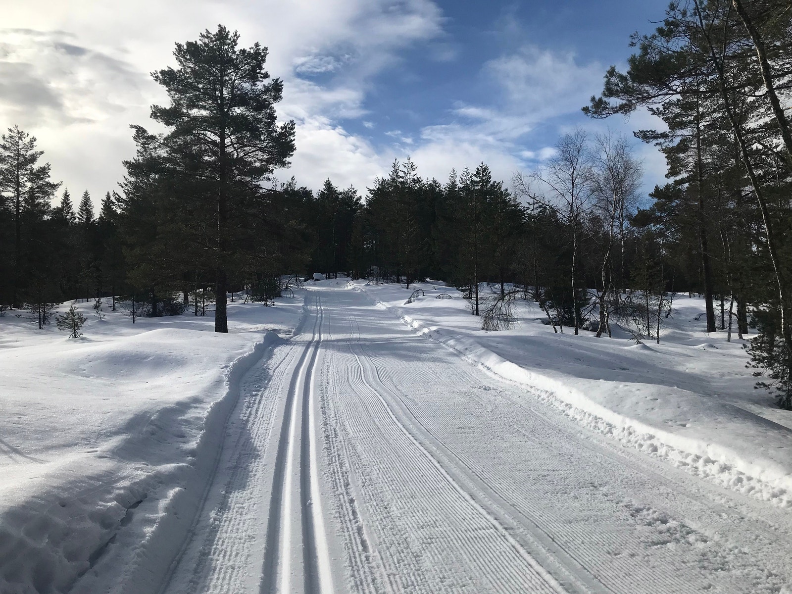 Skiløyper Galleribilde