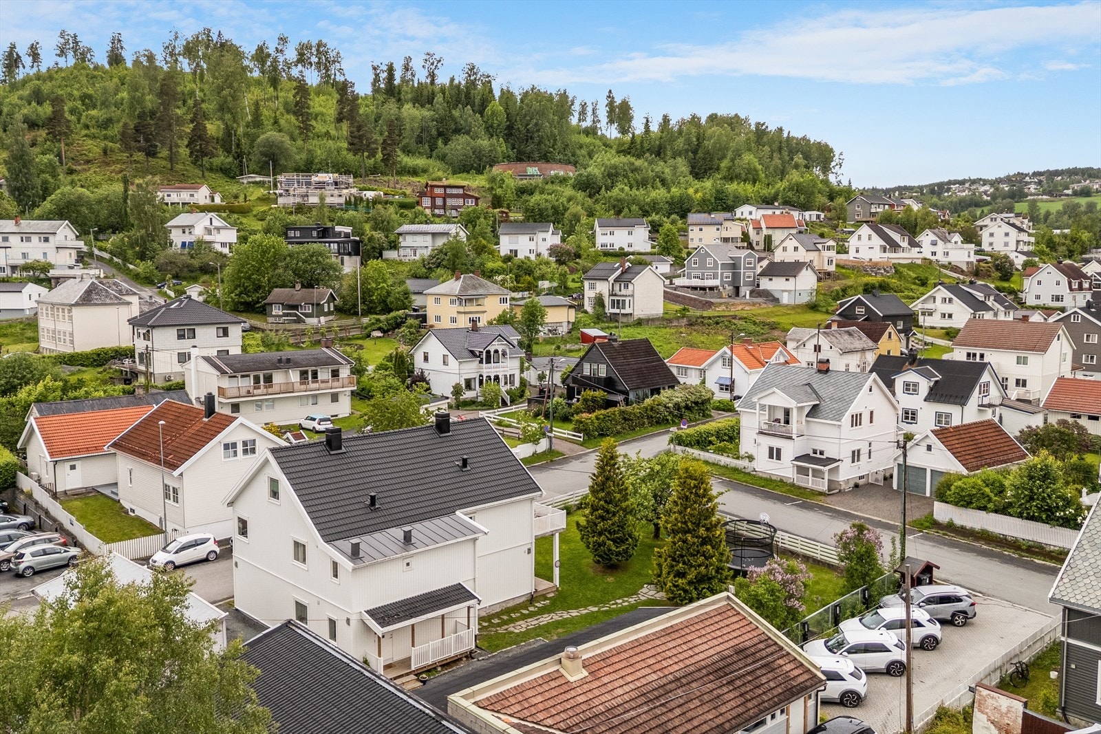 Fine turområder og Hovdebakken Galleribilde