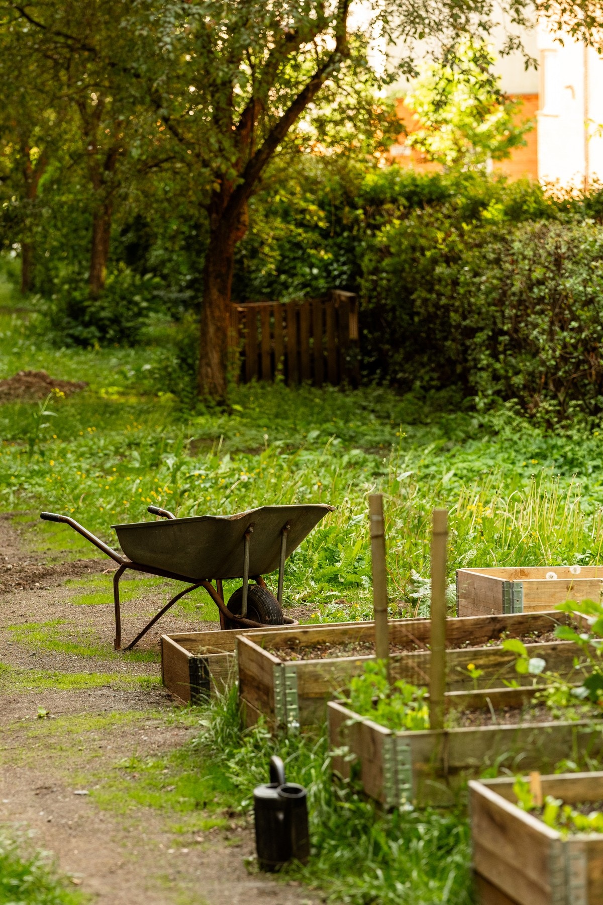 Har du grønne fingre? Borettslaget har en egen kjøkkenhage/plantekasser. Galleribilde