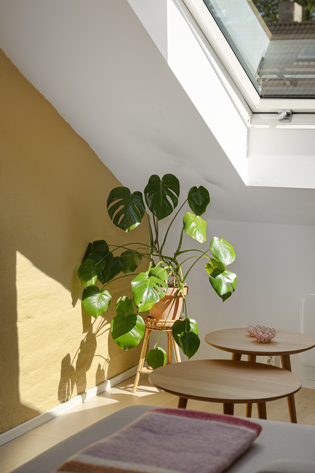 Masse lysinnslipp i leiligheten og den oppleves som svært lys. Galleribilde