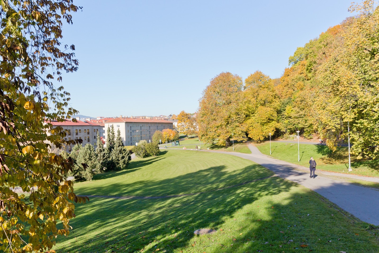 Nærområdet. Galleribilde