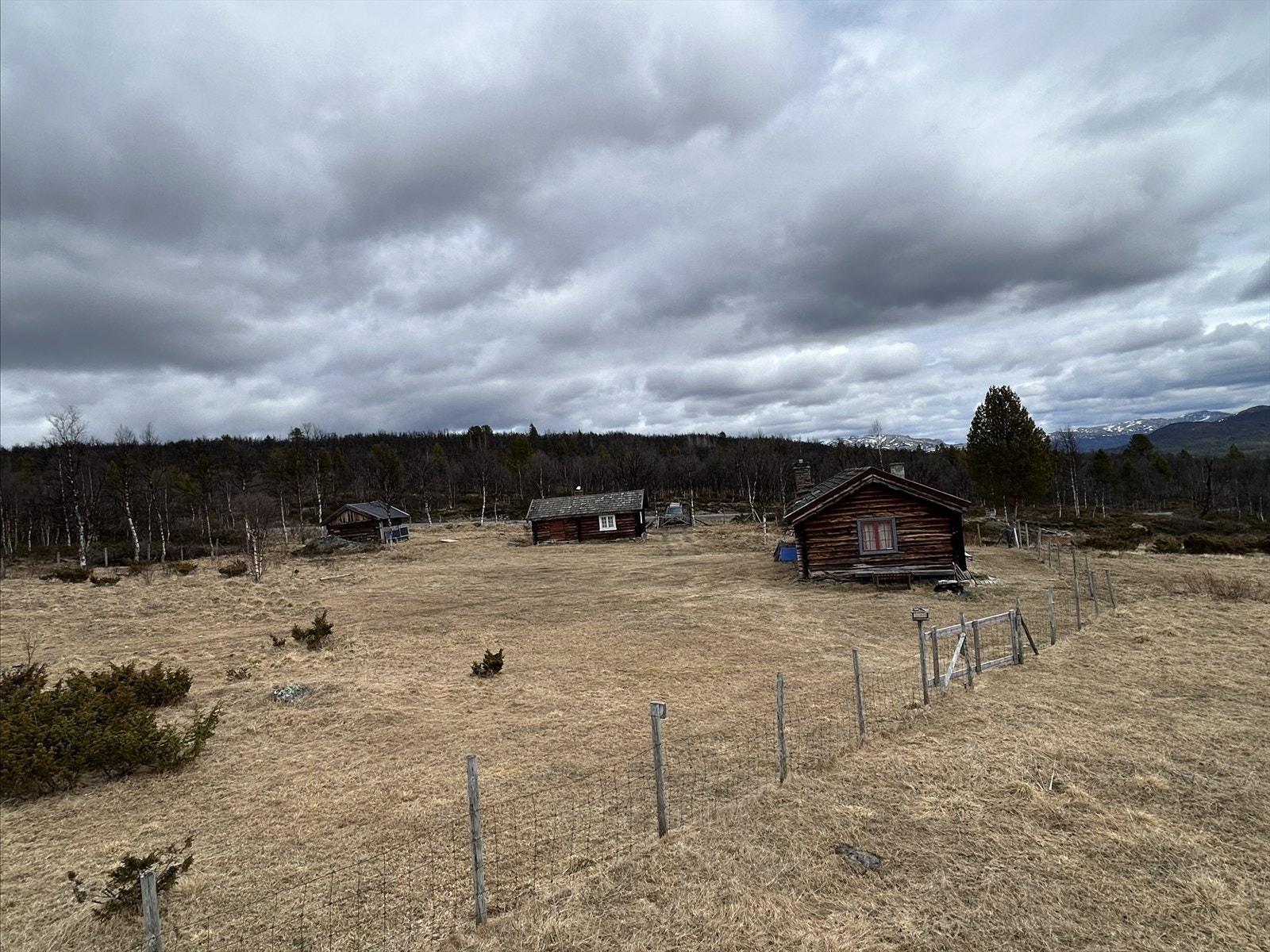 På Haugsetra med seterhus og vinterstugu Galleribilde