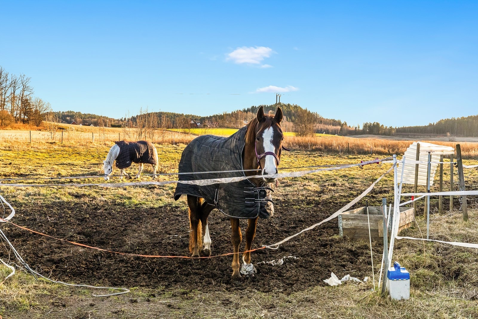 Beliggenheten i rolige og landlige omgivelser gjør treningsøktene både behagelige og konsentrerte, uten forstyrrelser. Galleribilde