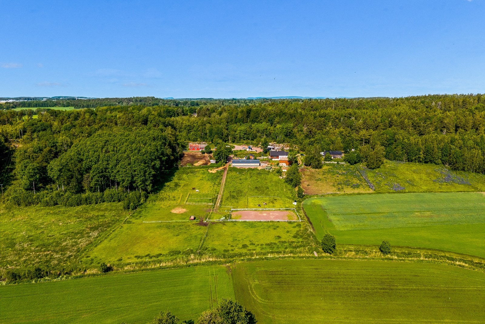 Tomten er stor og frodig, med drivhus for deg som vil dyrke egne grønnsaker, frukttrær, naturlig beplantning og store plenområder som innbyr til lek og rekreasjon. Her finner både store og små trivsel i grønne omgivelser. Galleribilde