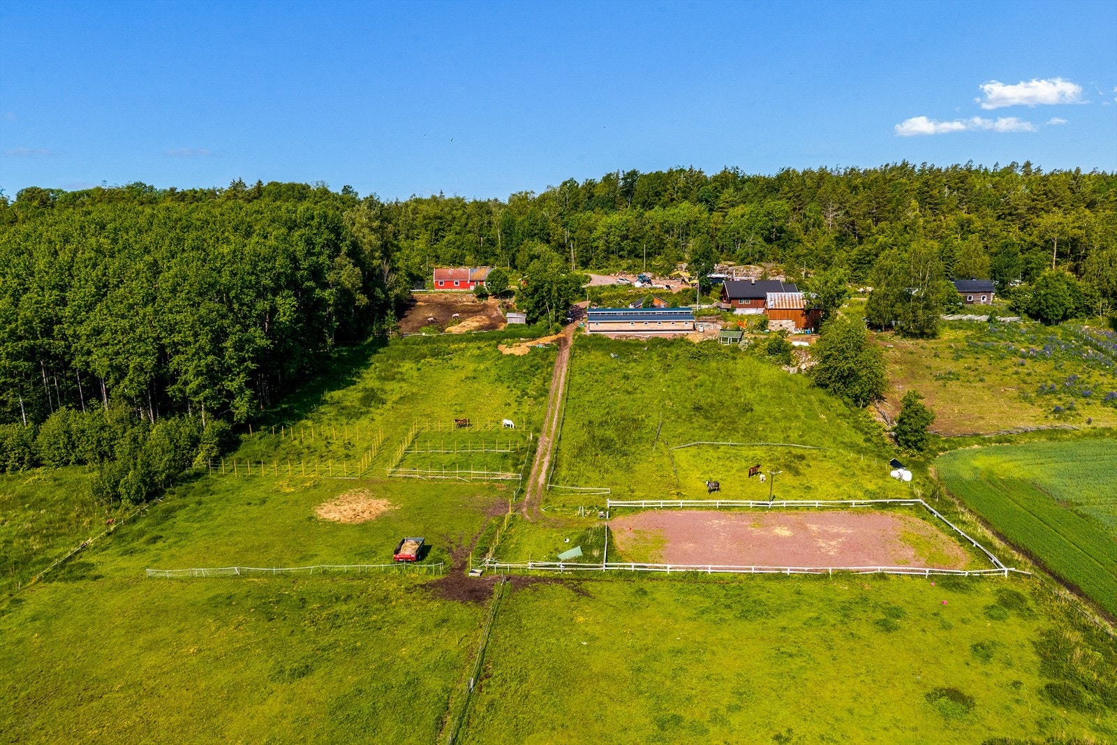Eiendommen har en flott og romslig ridebane som er ideell for trening og daglig mosjon av hester. Galleribilde