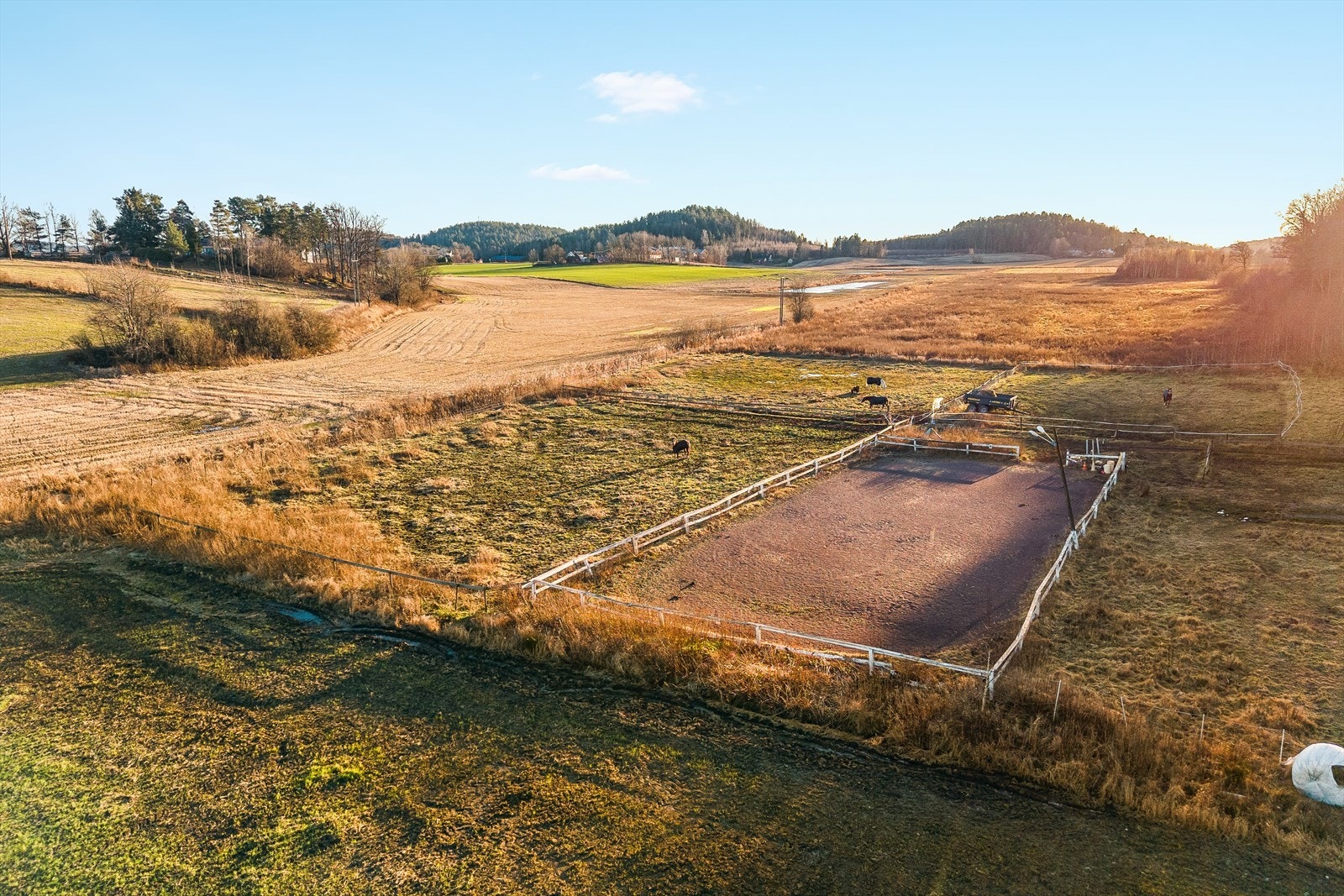 Beitene er inngjerdet og oversiktlige, og gir dyrene godt med plass og naturlig bevegelsesfrihet gjennom sesongen. Galleribilde