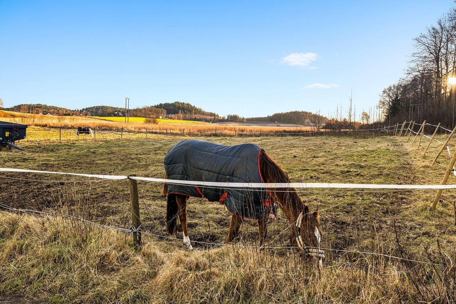 Eiendommen byr på flotte beiteområder og en romslig ridebane, perfekt tilrettelagt for deg som ønsker å holde hest. Galleribilde