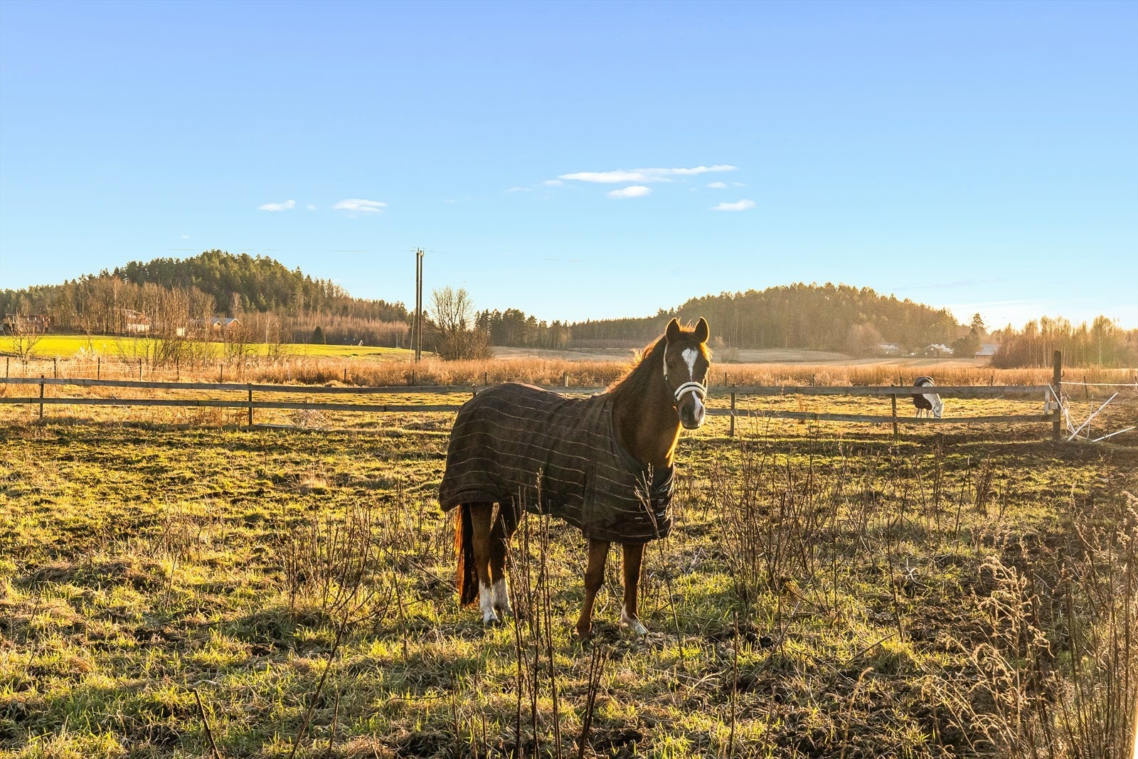 Dette er et fantastisk tilbud for hesteentusiaster som ønsker fasiliteter tilpasset aktivt hestehold rett utenfor døren. Galleribilde