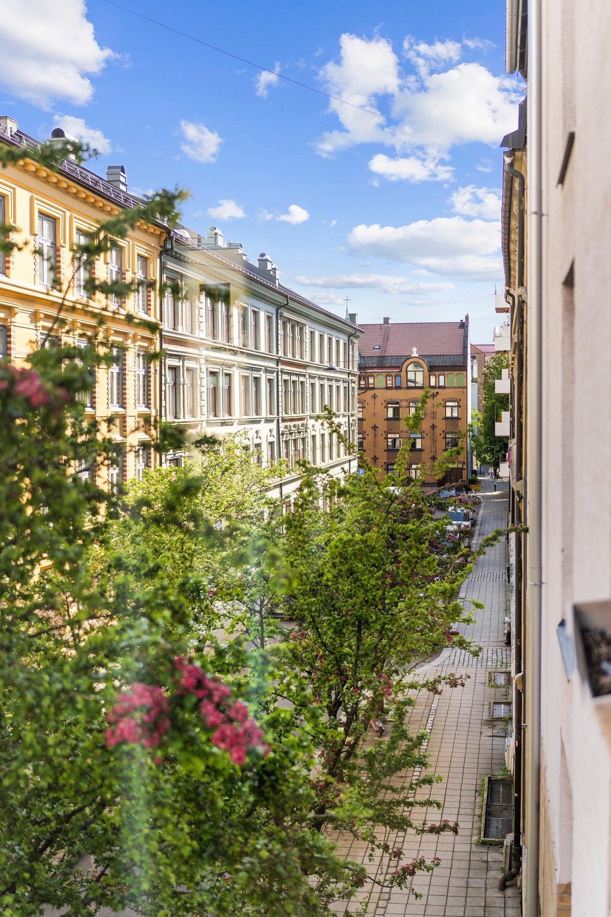 Utsyn fra stuen. Galleribilde