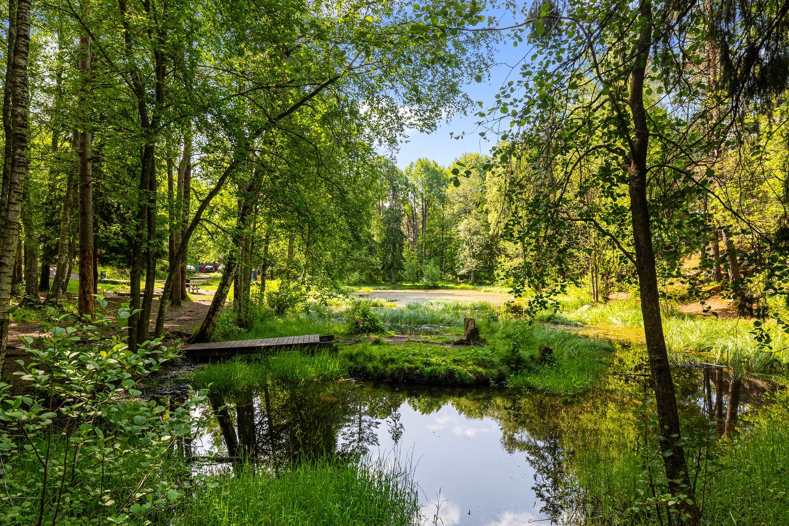 Kort vei til natur og rekreasjonsområder. Galleribilde
