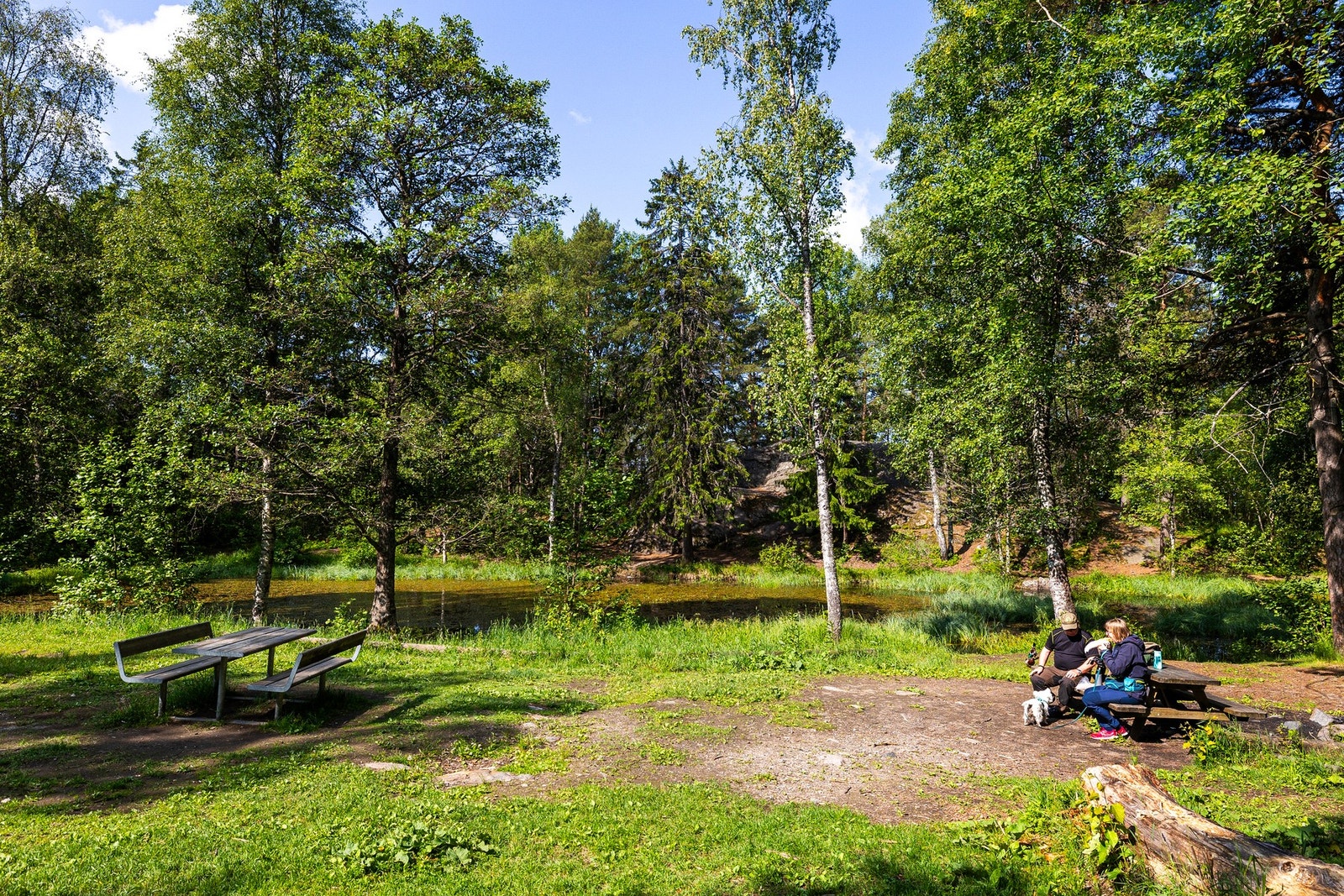 Flotte turområder! Galleribilde