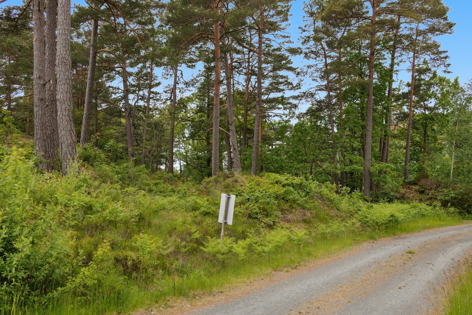 Tomten sett fra veien Galleribilde