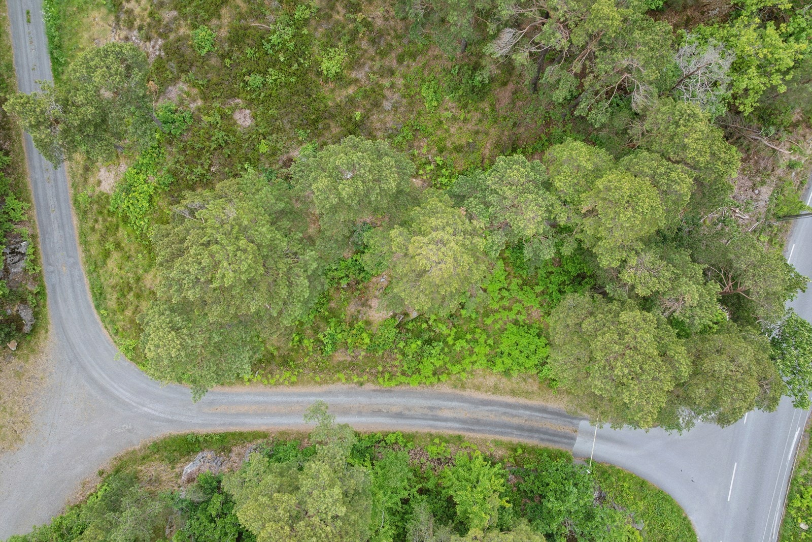 Sett fra luften Galleribilde