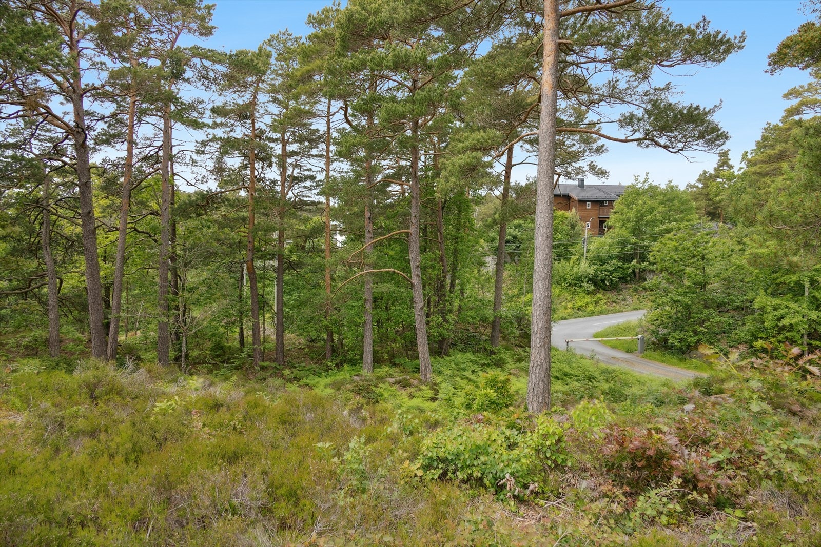 Tomten ligger på et relativt flatt nivå Galleribilde