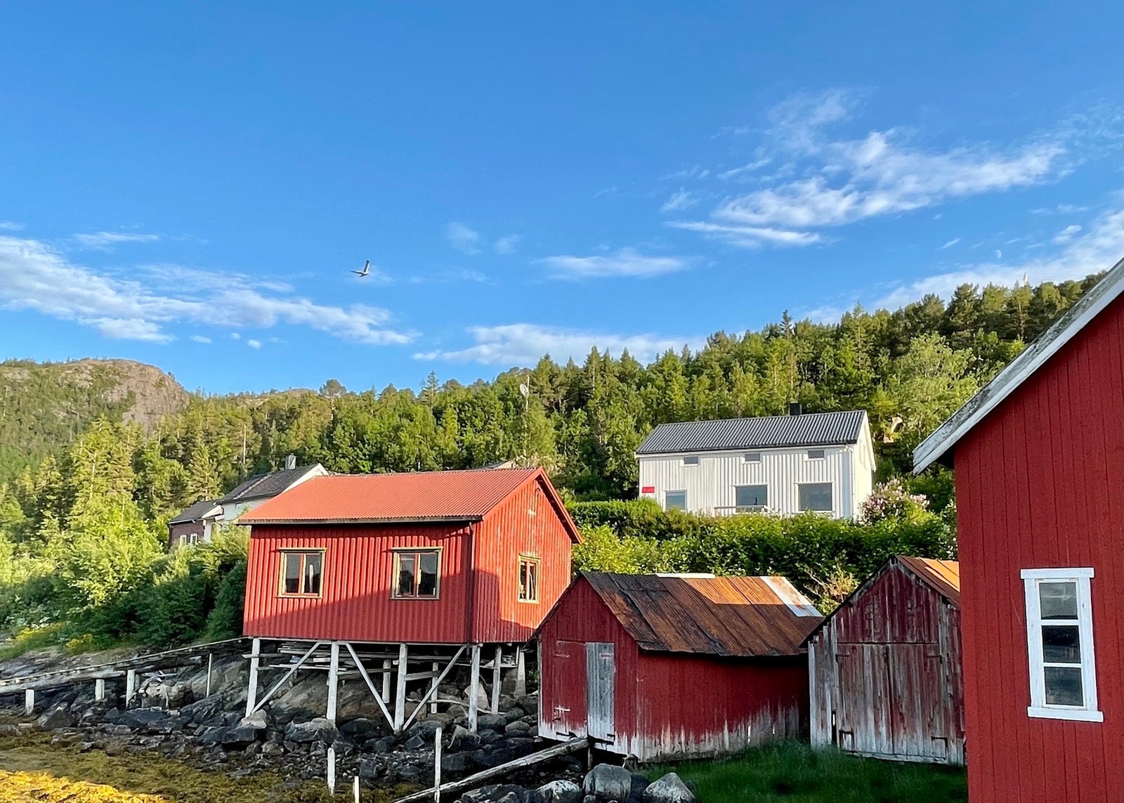 Nærområdet Galleribilde